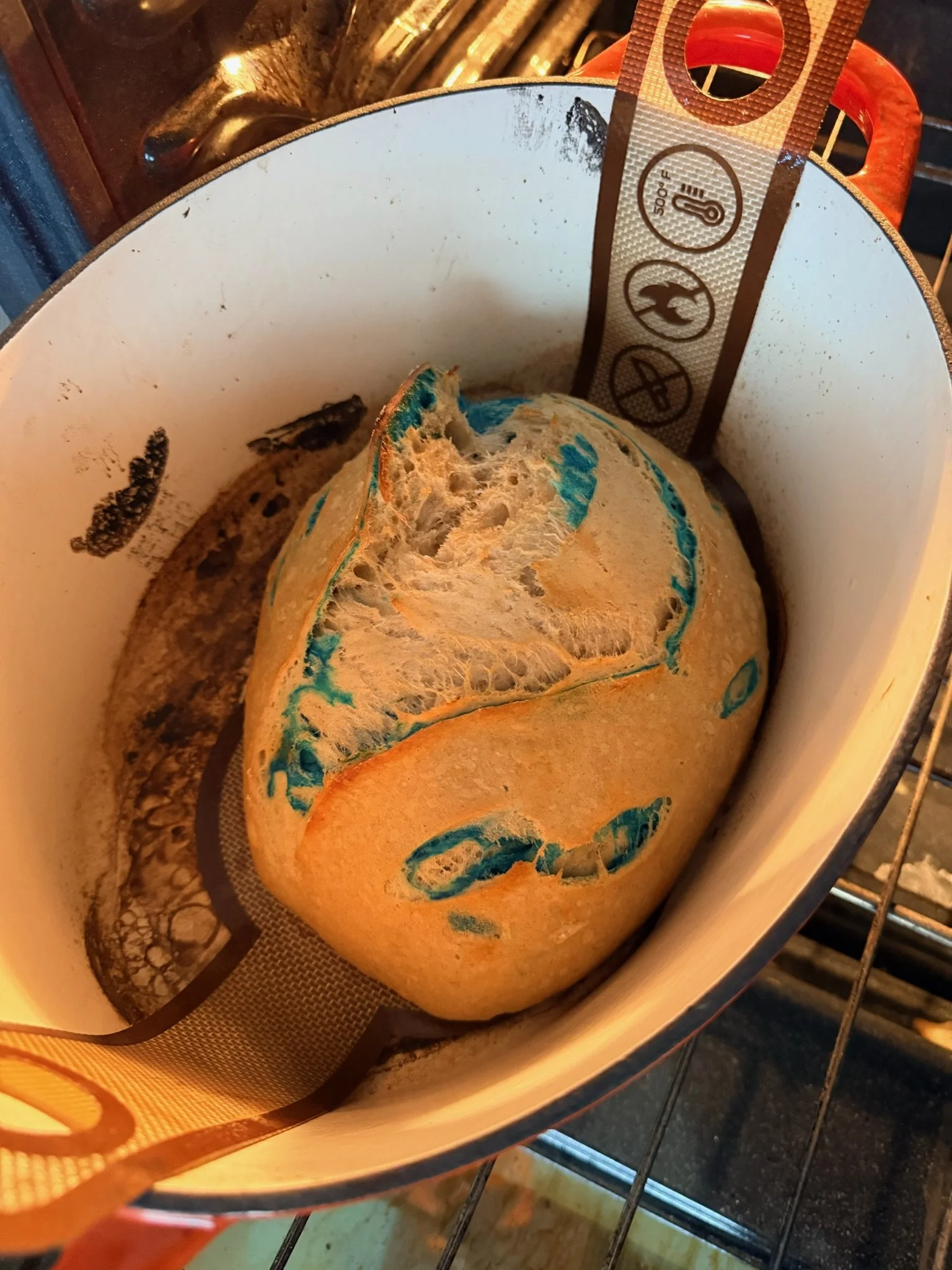A partially burned pumpkin with blue coloring inside, inside an oven. There is a baking rack and a white oven wall visible.