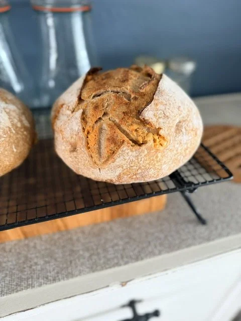 A freshly baked crusty bread roll with a golden-brown top resting on a cooling rack.