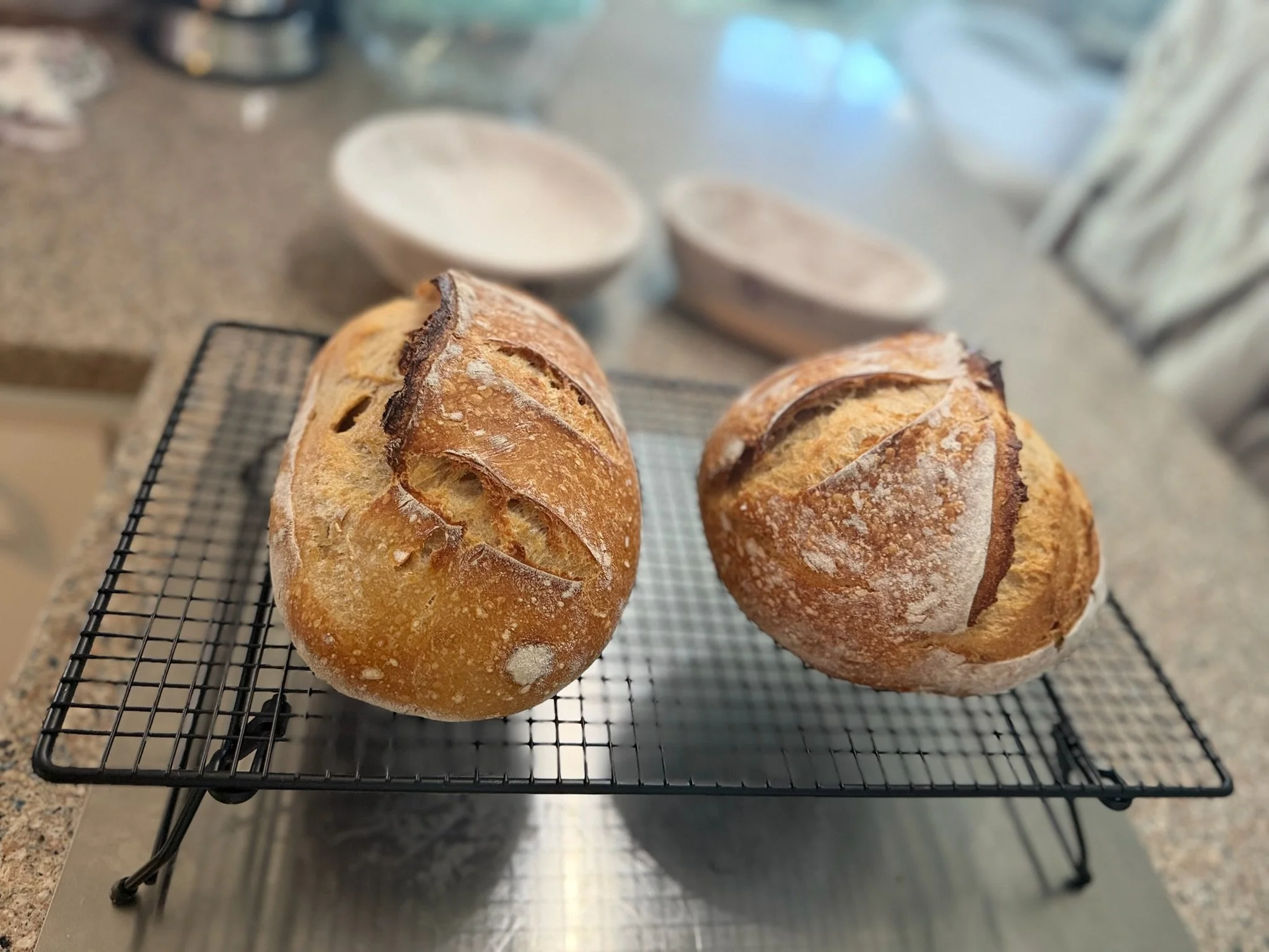 Two loaves of rustic bread with a crusty exterior, placed on a cooling rack in a kitchen setting.