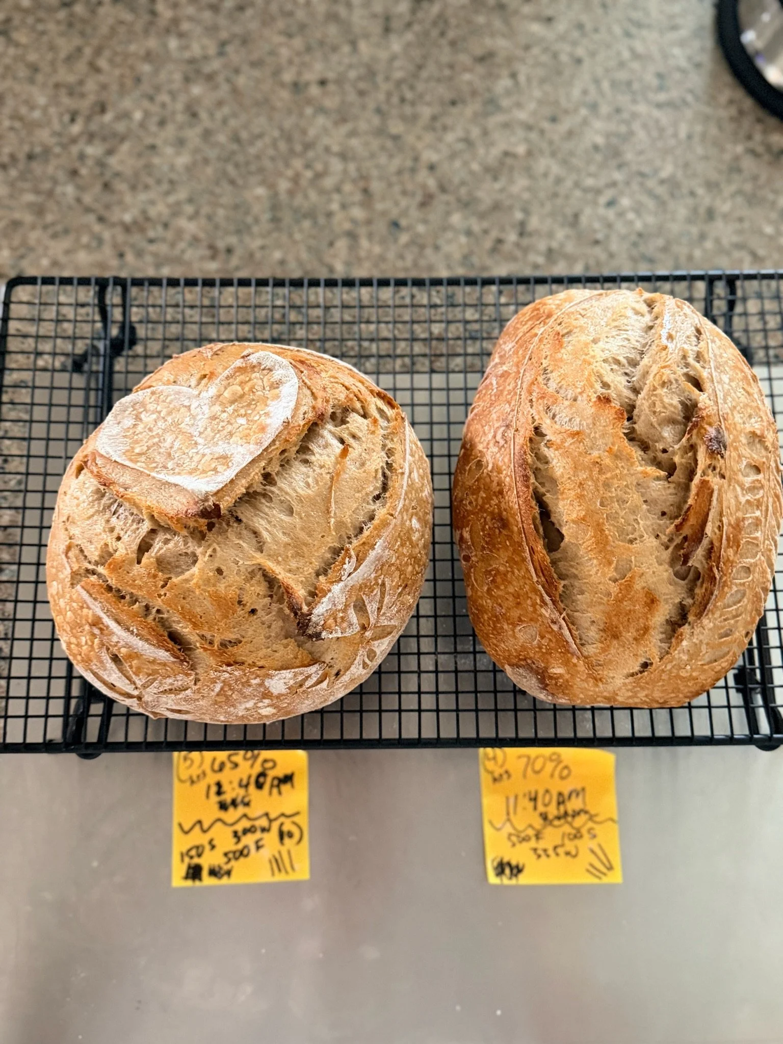 Two loaves of bread on a wire rack in a grocery store, with yellow sale tags below showing discounts and times.