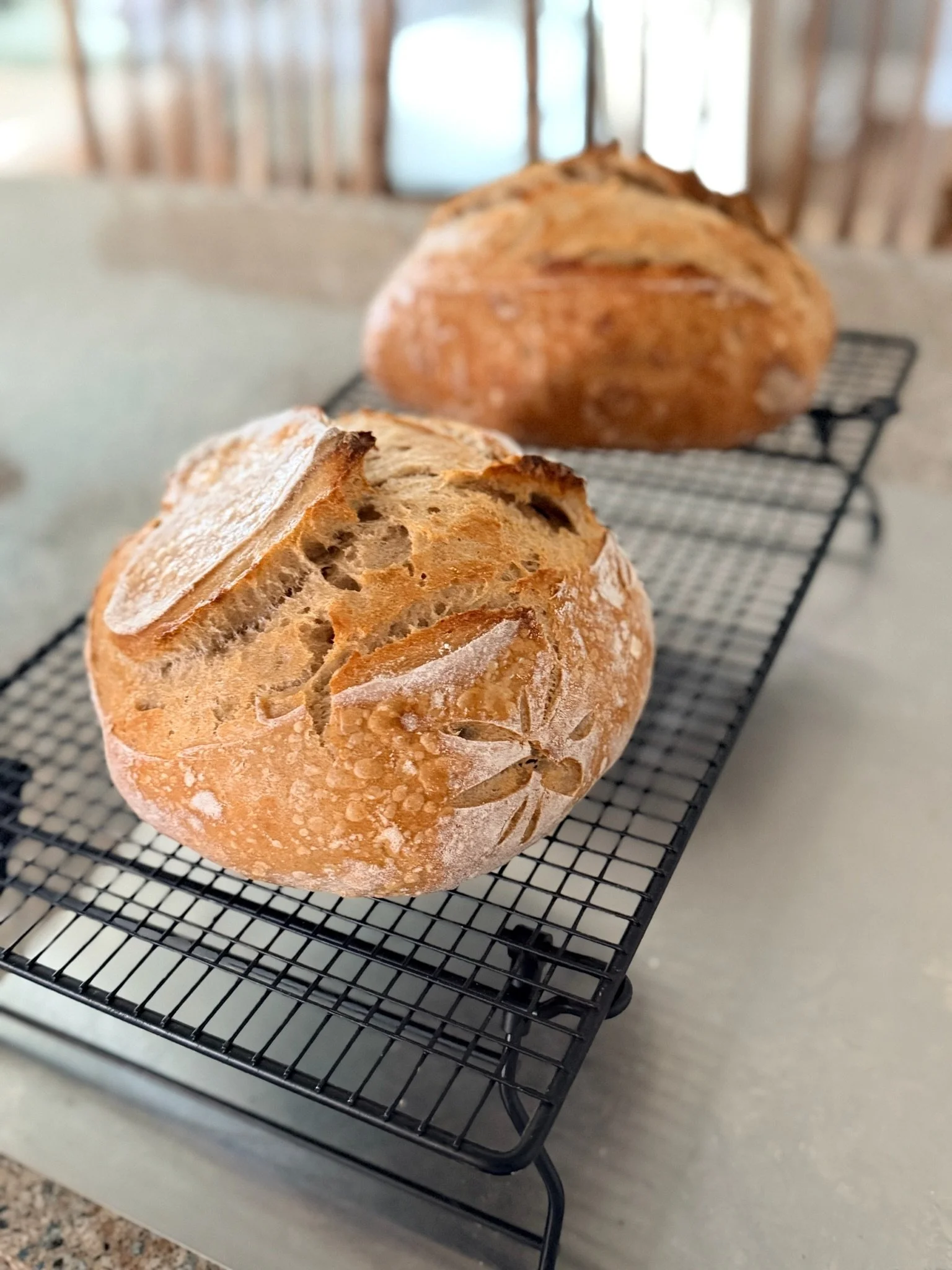 Freshly baked round sourdough bread on a cooling rack, with a cut piece revealing the airy crumb inside, placed on a countertop in a home kitchen.