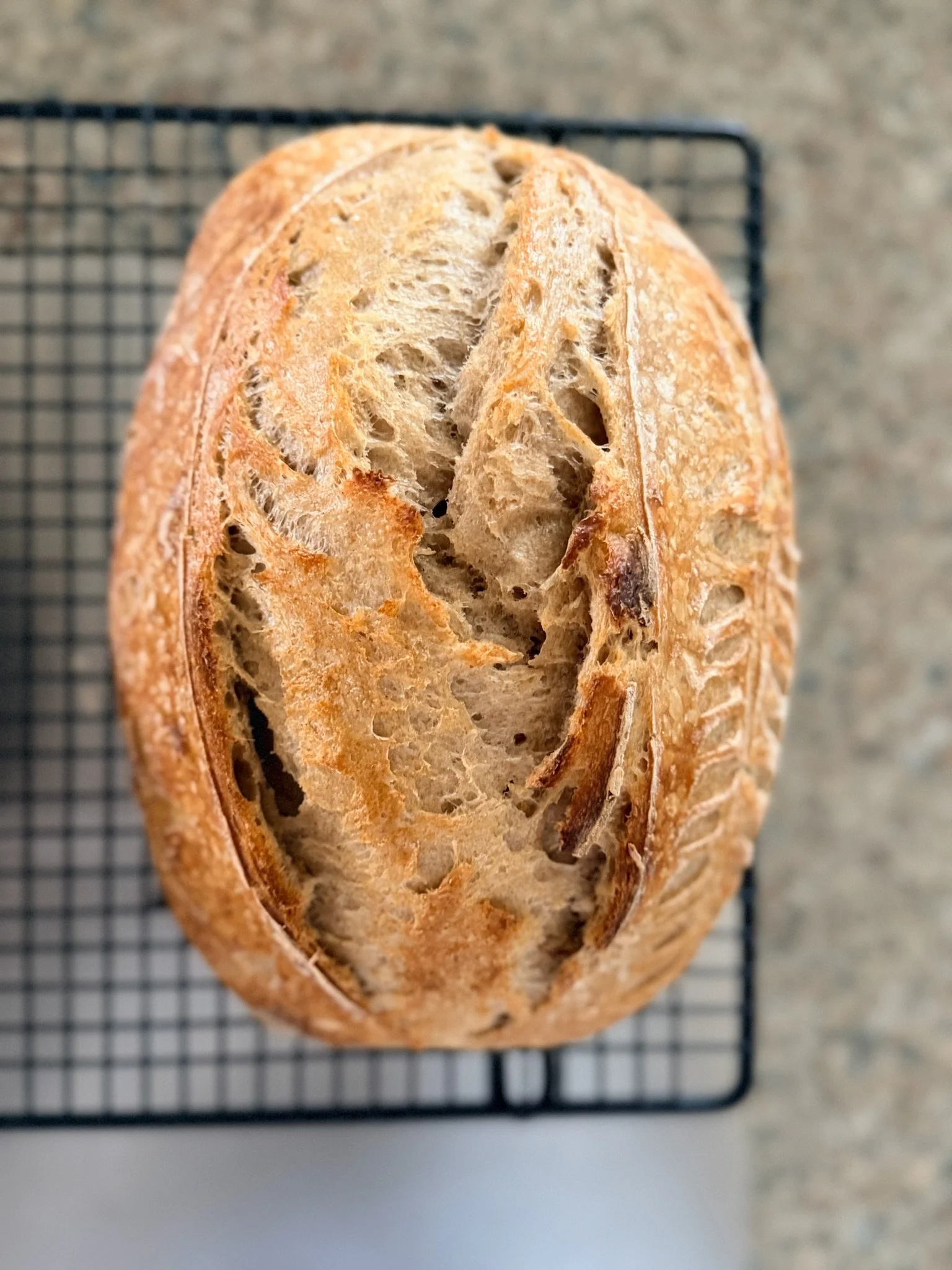 Close-up of a sliced crusty baguette bread on a wire cooling rack.