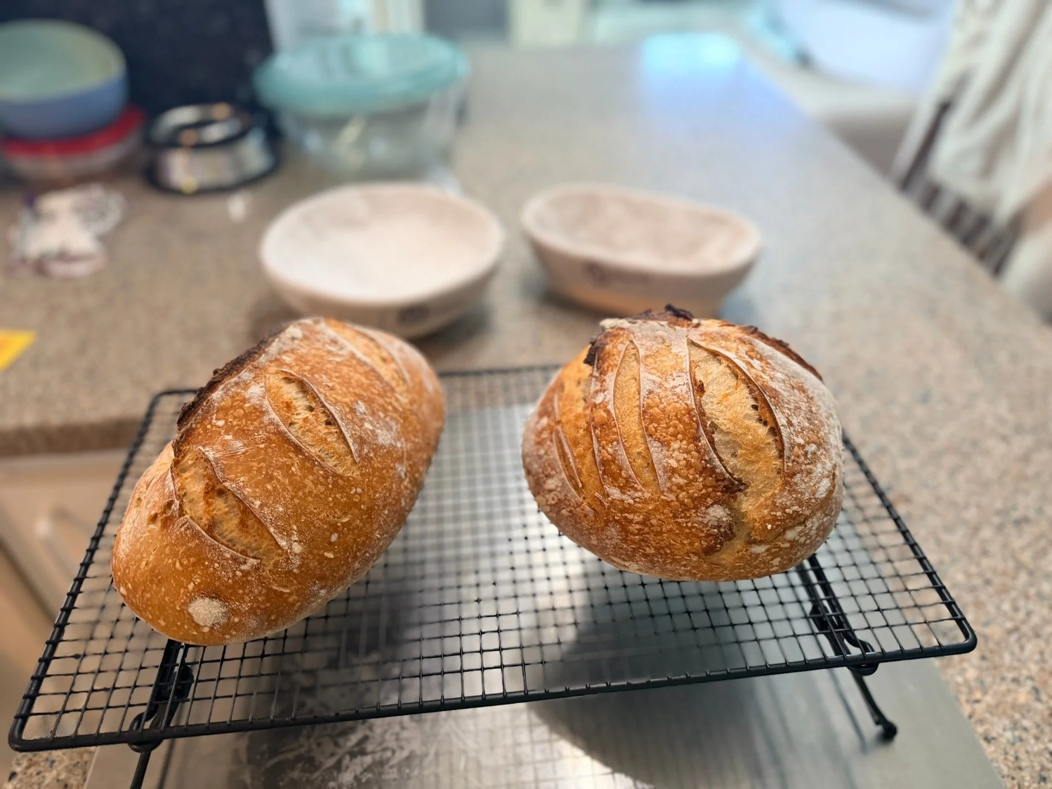 Three freshly baked round bread rolls with a golden crust and scored tops, placed on a wire cooling rack on a kitchen countertop.
