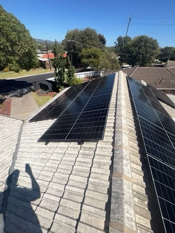 Solar panels installed on a sloped residential roof with gray shingles, with trees and a street visible in the background under a clear blue sky.