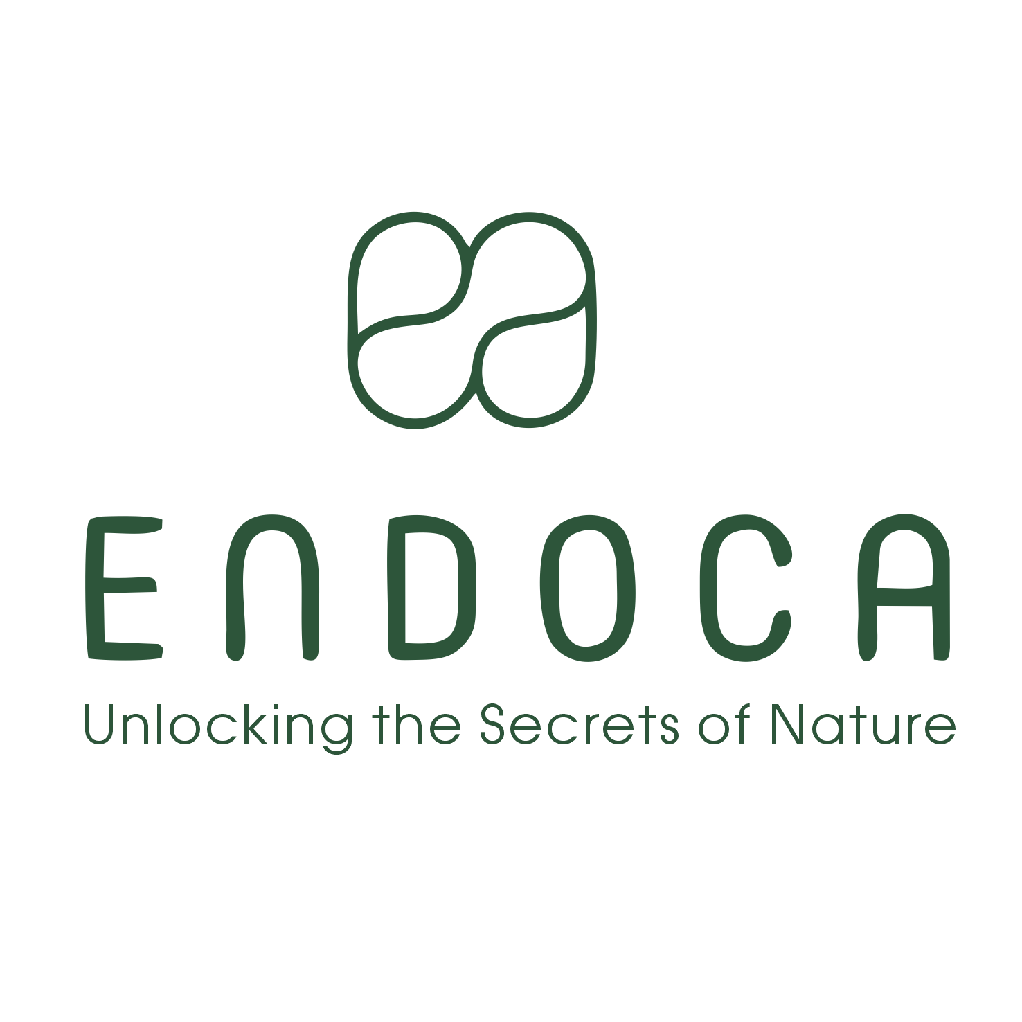 Logo for Ecodoca featuring a stylized plant icon above the name 'ECODOCA' and the tagline 'Unlocking the Secrets of Nature'.