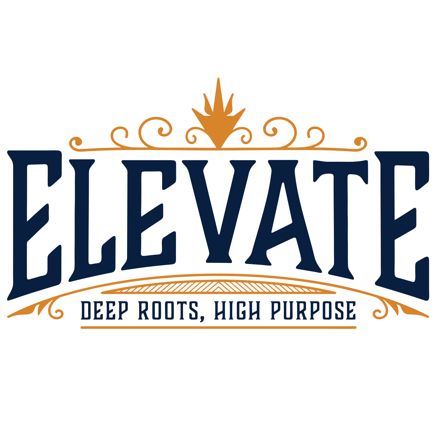 Logo for a brand called 'ELEVATE' with a decorative crest above the text. The tagline reads 'DEEP ROOTS, HIGH PURPOSE'.