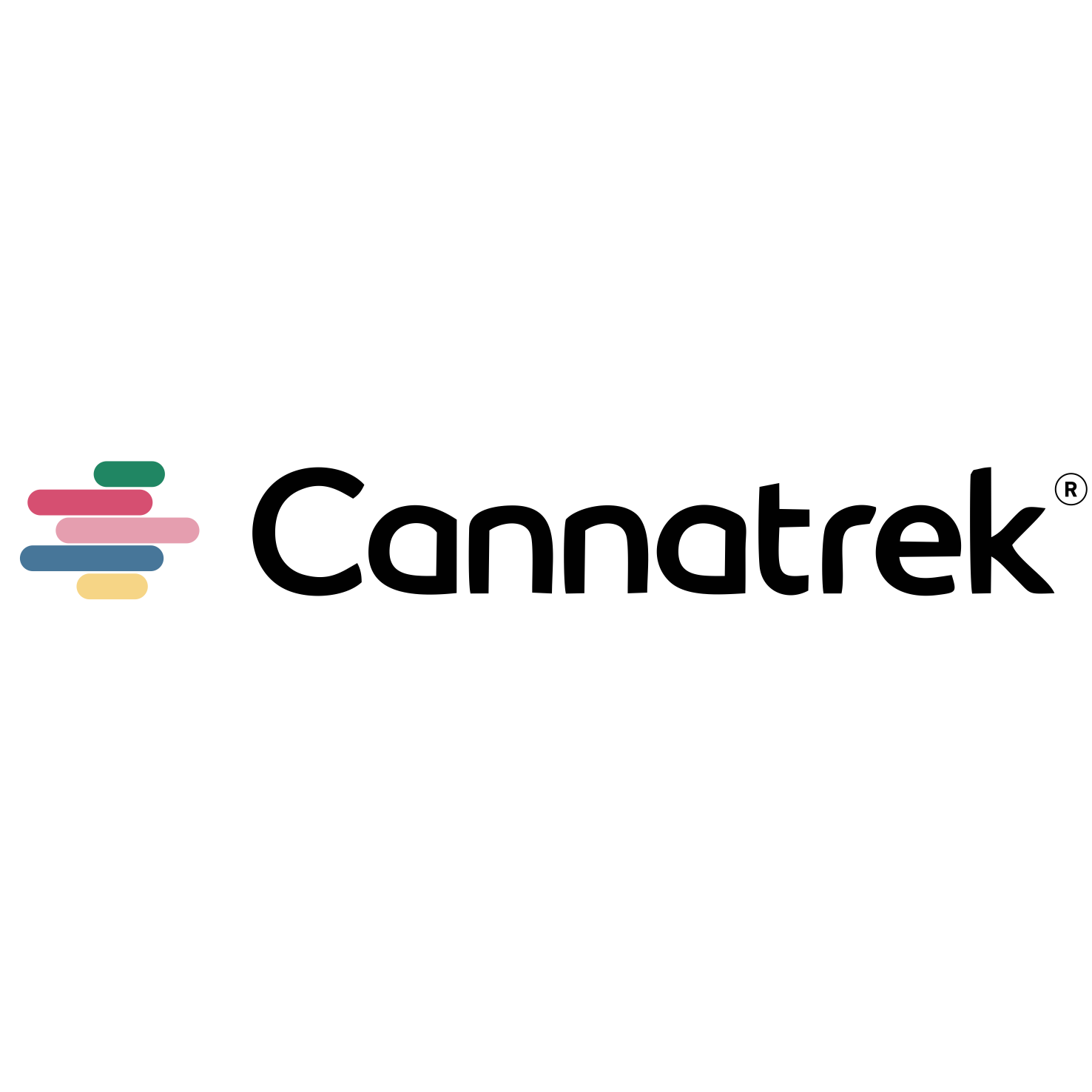The bright pink, green, yellow, blue, and pink text logo for Canva with the word 'Canva' in black.