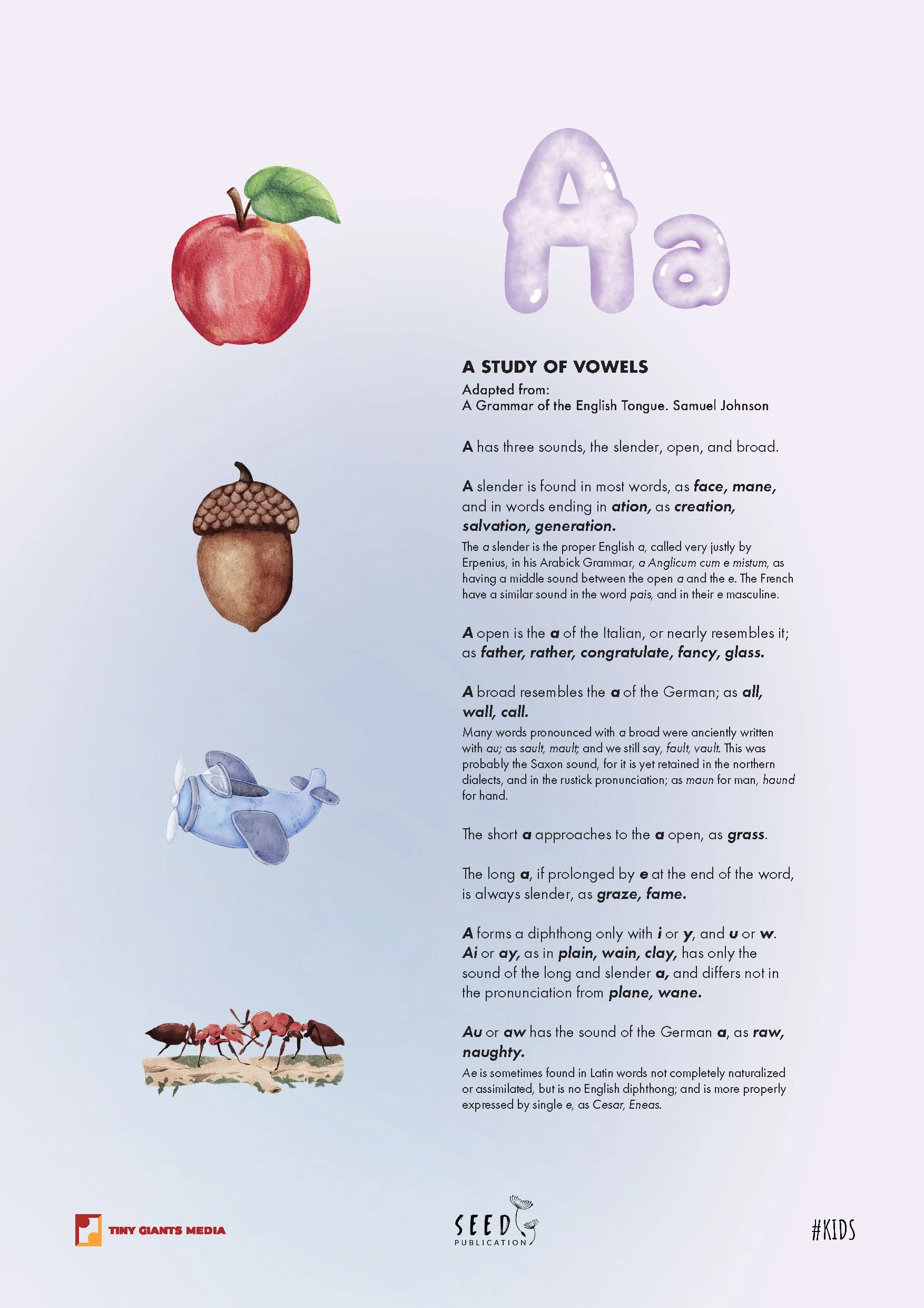 Page from a children's educational book titled "A Study of Vowels" featuring illustrations of a red apple, an acorn, a toy airplane, a red ant, and additional text about vowels.