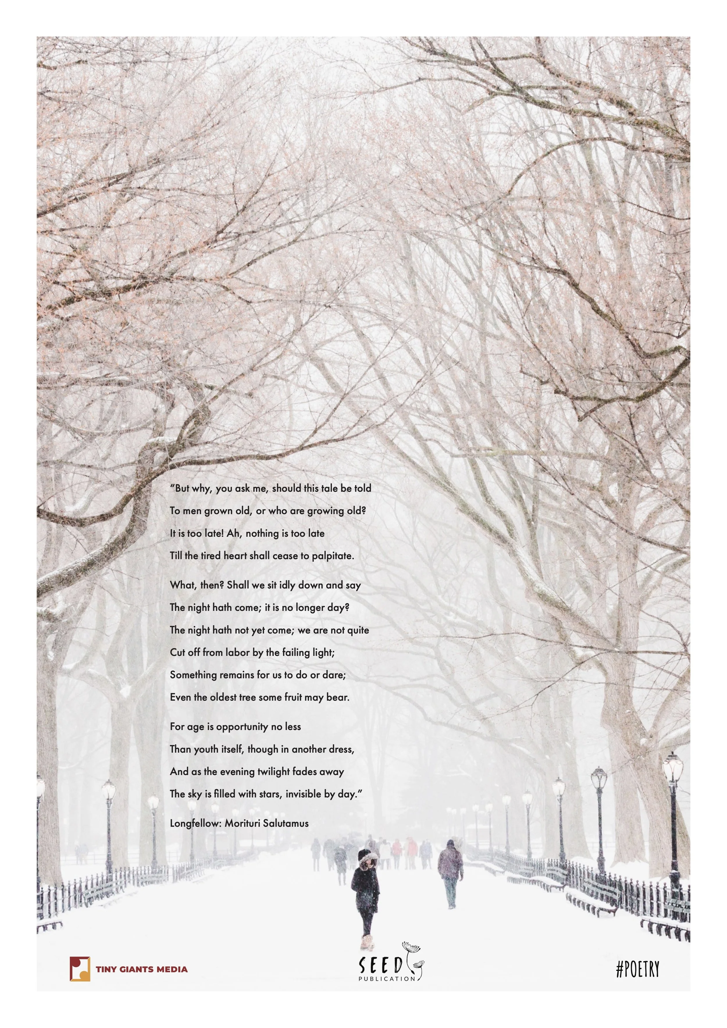 A snowy landscape with leafless trees and a pathway filled with people walking. There are street lamps along the path and a poetic text overlay in the center of the image.