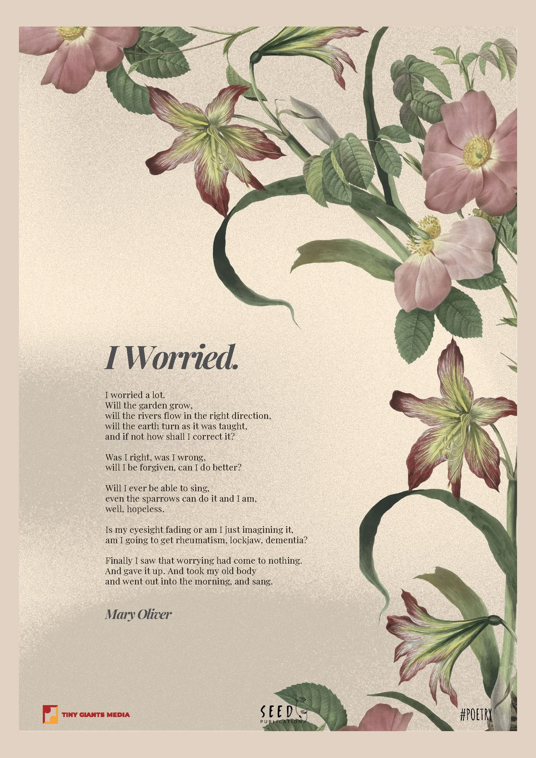 A poetic poem titled 'I Worried' by Mary Oliver with pink and green botanical artwork in the background, and logos for Tiny Giants Media and Seed Publishing.