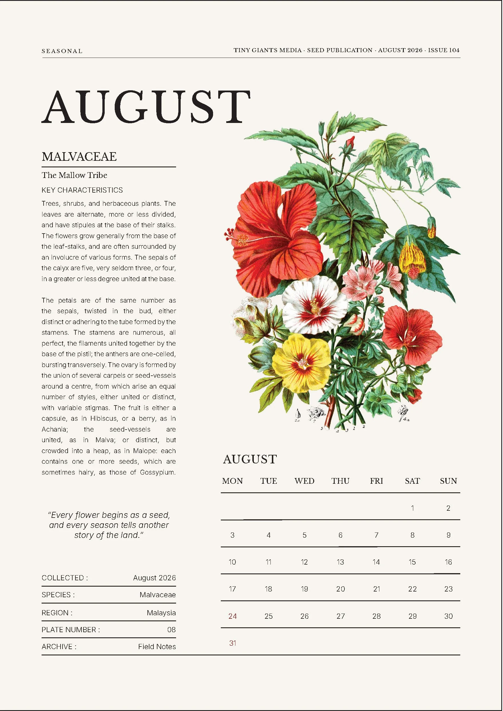 august_final_05.jpg