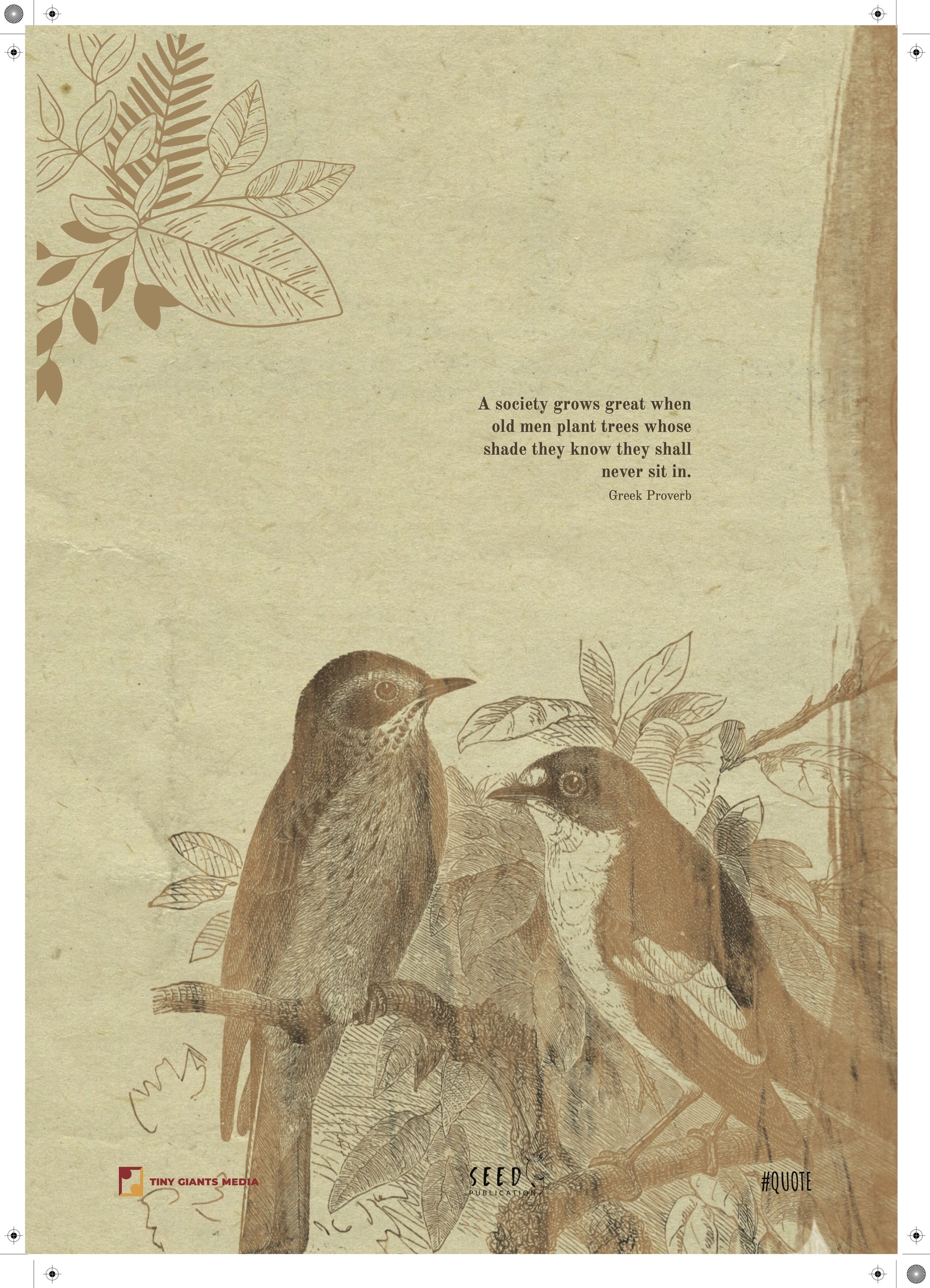 Vintage illustration of birds on a branch with leaves, accompanied by a Greek proverb: "A society grows great when old men plant trees whose shade they know they shall never sit in."