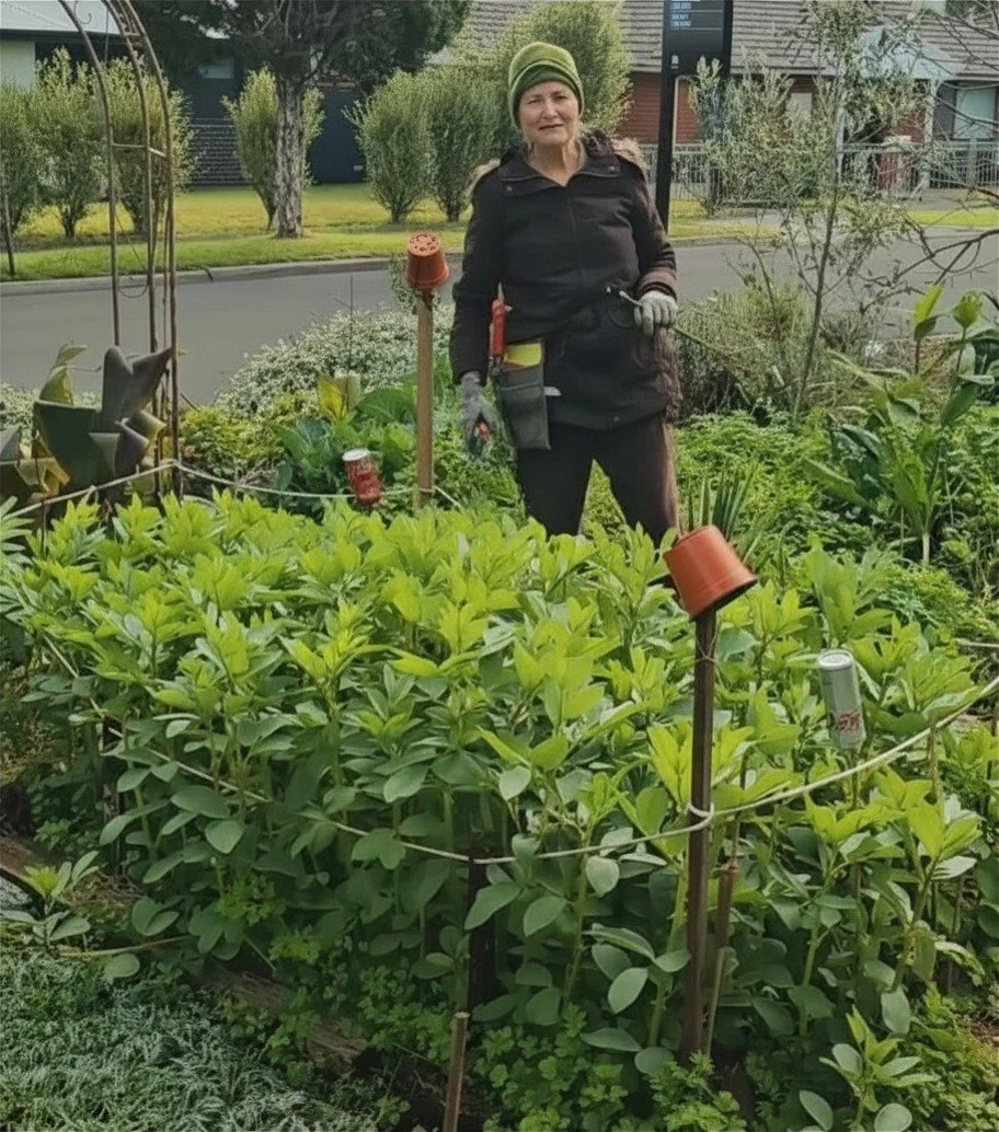 Gardening With Heidi