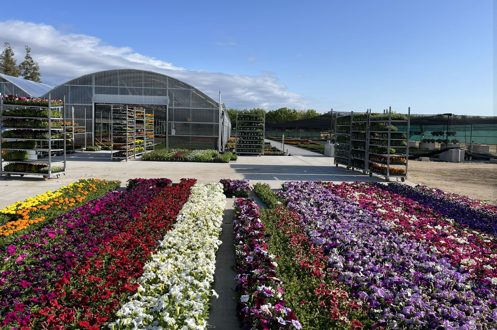 Hamby Wholesale Nursery