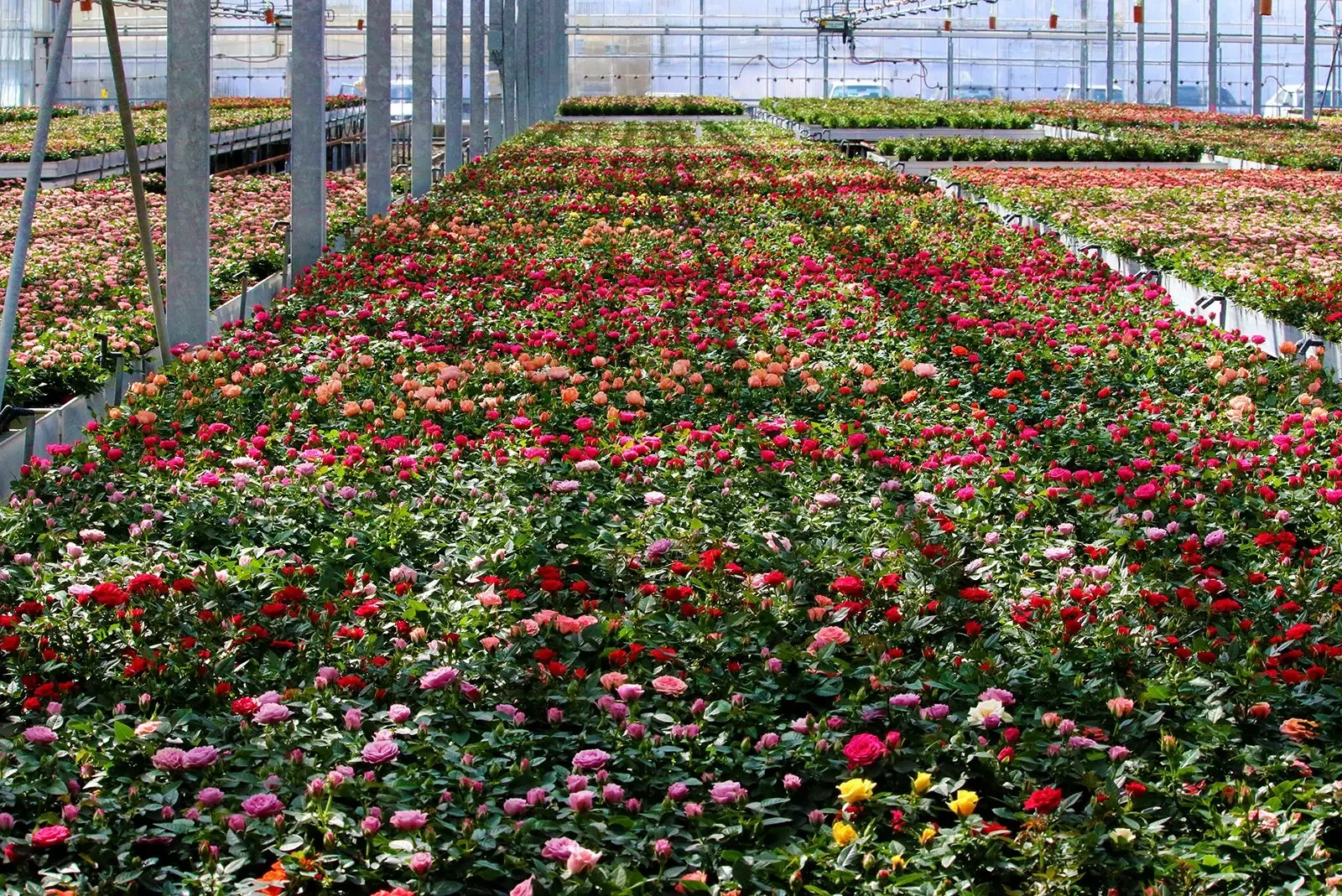 Rocket Farms