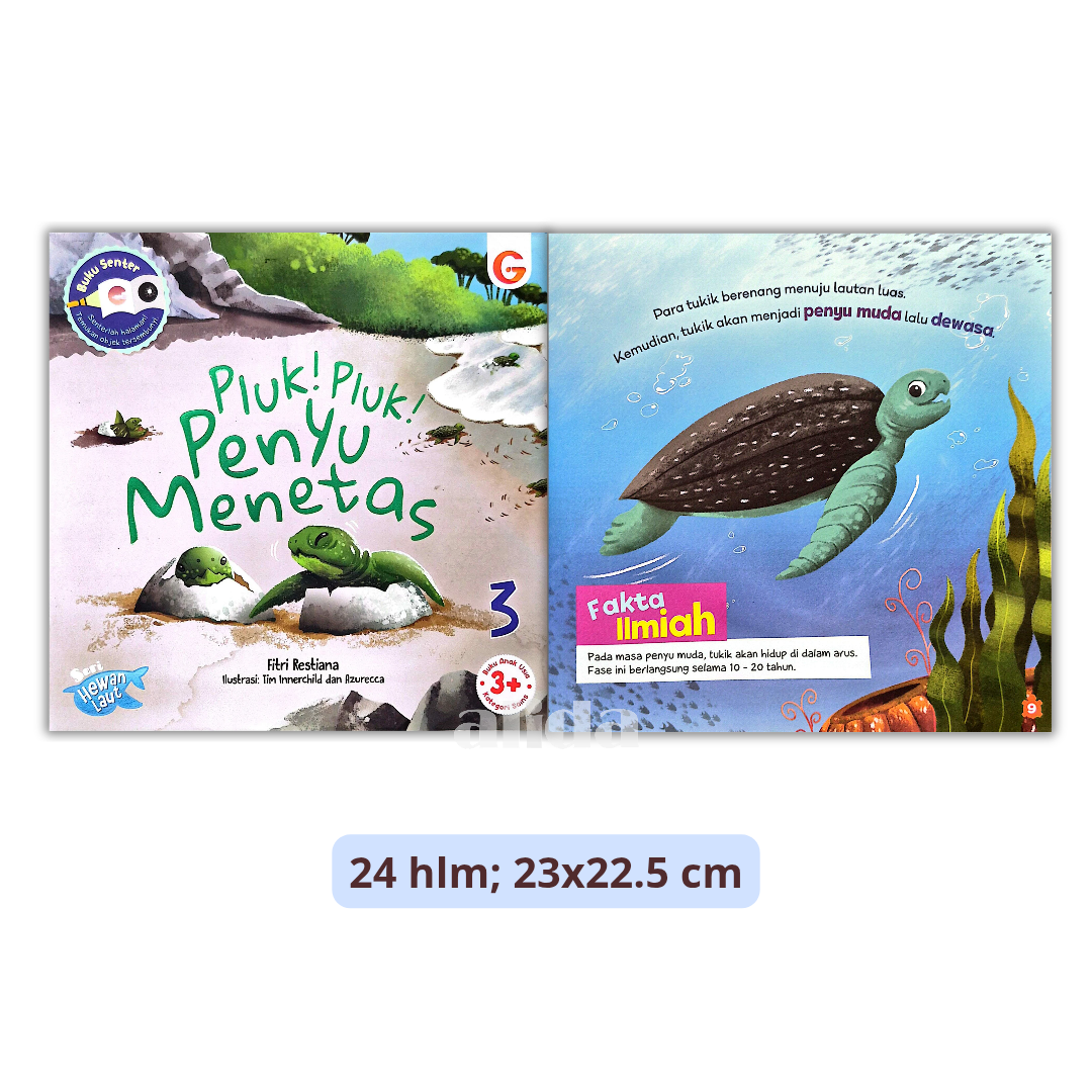 544 Pluk!Pluk! Penyu Menetas.png