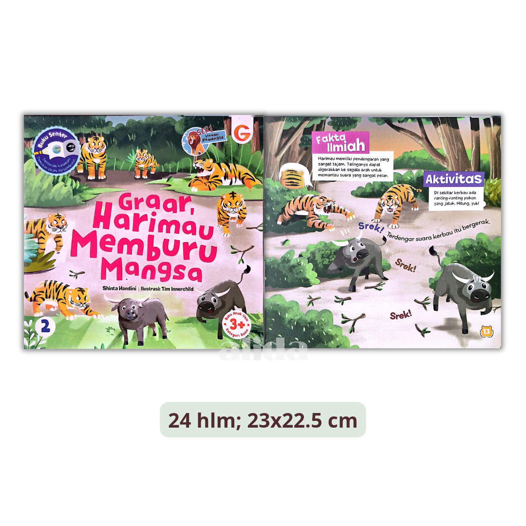 563 Graar, Harimau Memburu Mangsa.png
