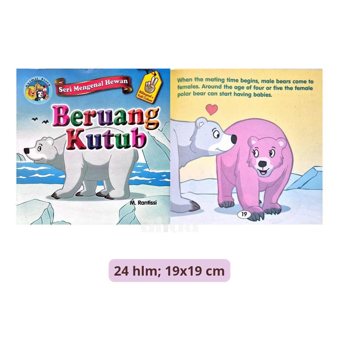 705 Cover+isi Beruang Kutub.png