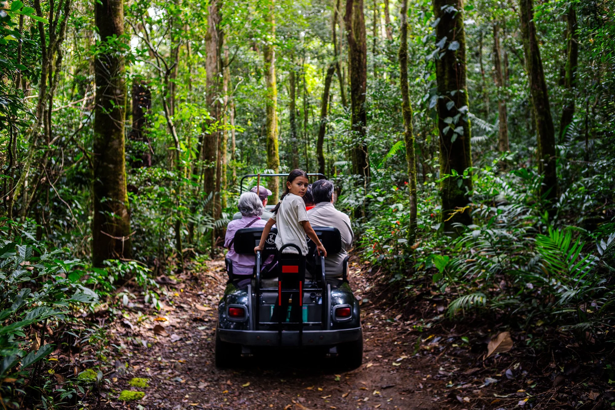 Travelers exploring a forest trail surrounded by lush vegetation during a nature excursion.
