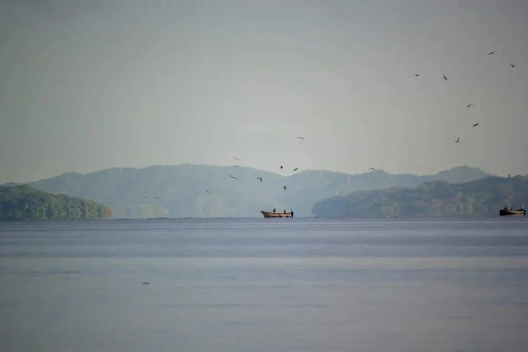 Small fishing boat crossing calm coastal waters in Between Two Shores, a visual journal connecting distant coastlines.