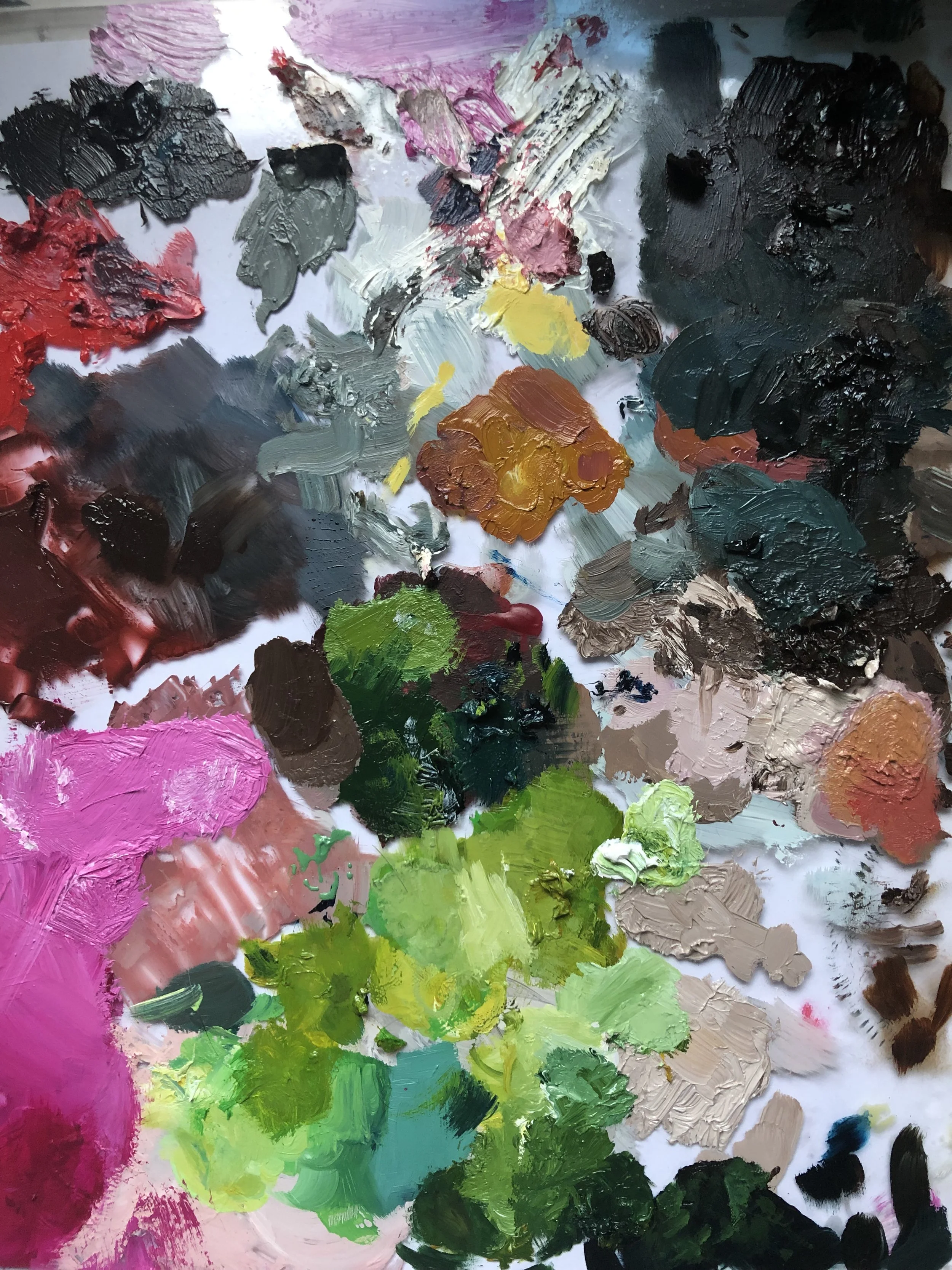2019-03-08 07.46.07.jpg