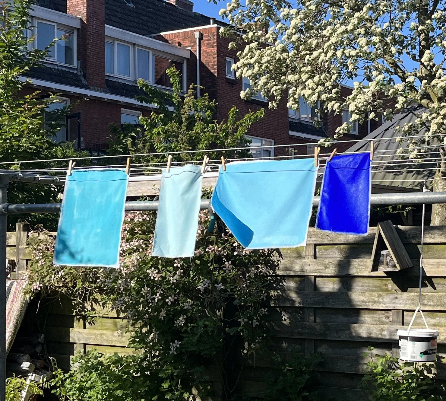 2024-05-11 18.08.53.jpg