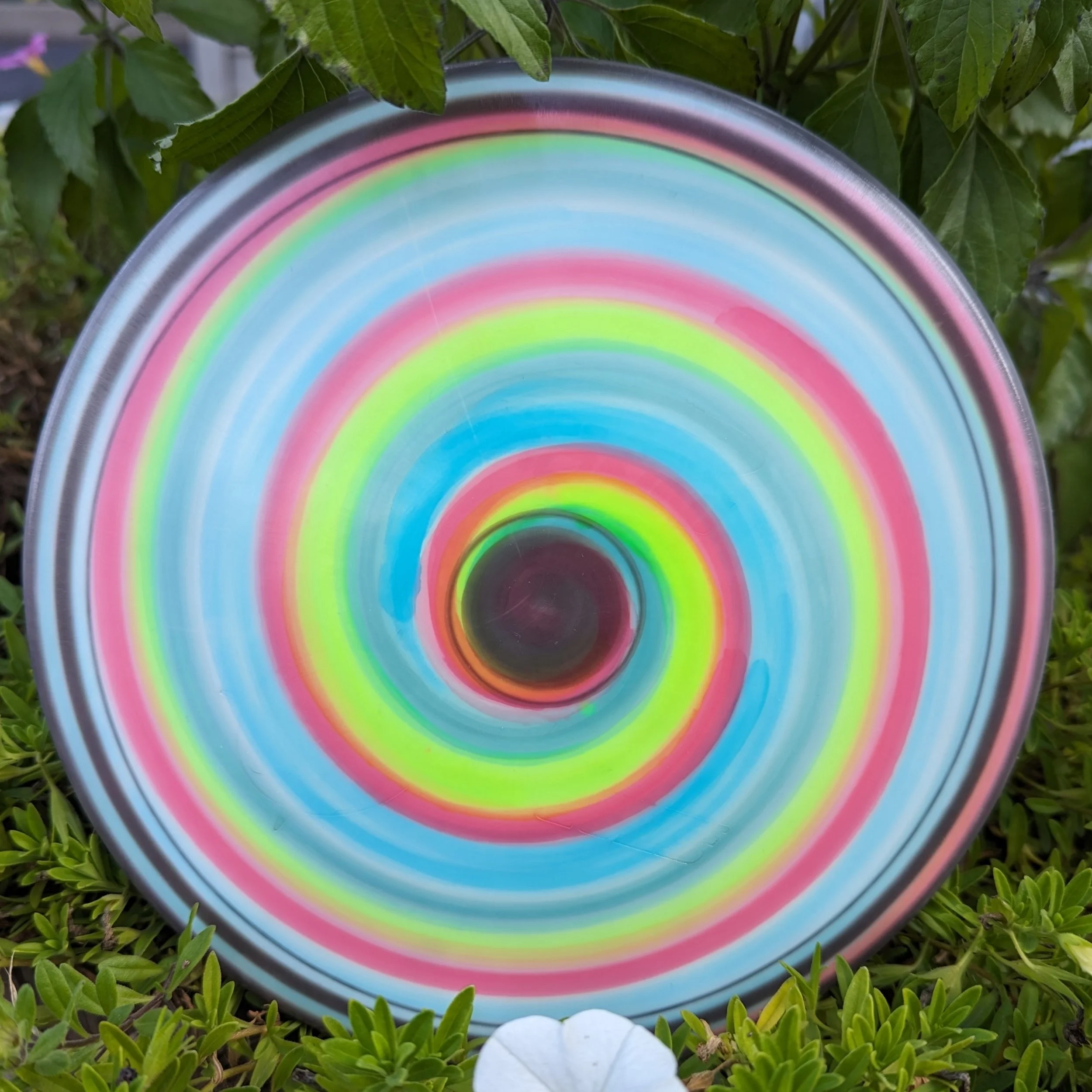 Lollipop - Star Gator - 175g