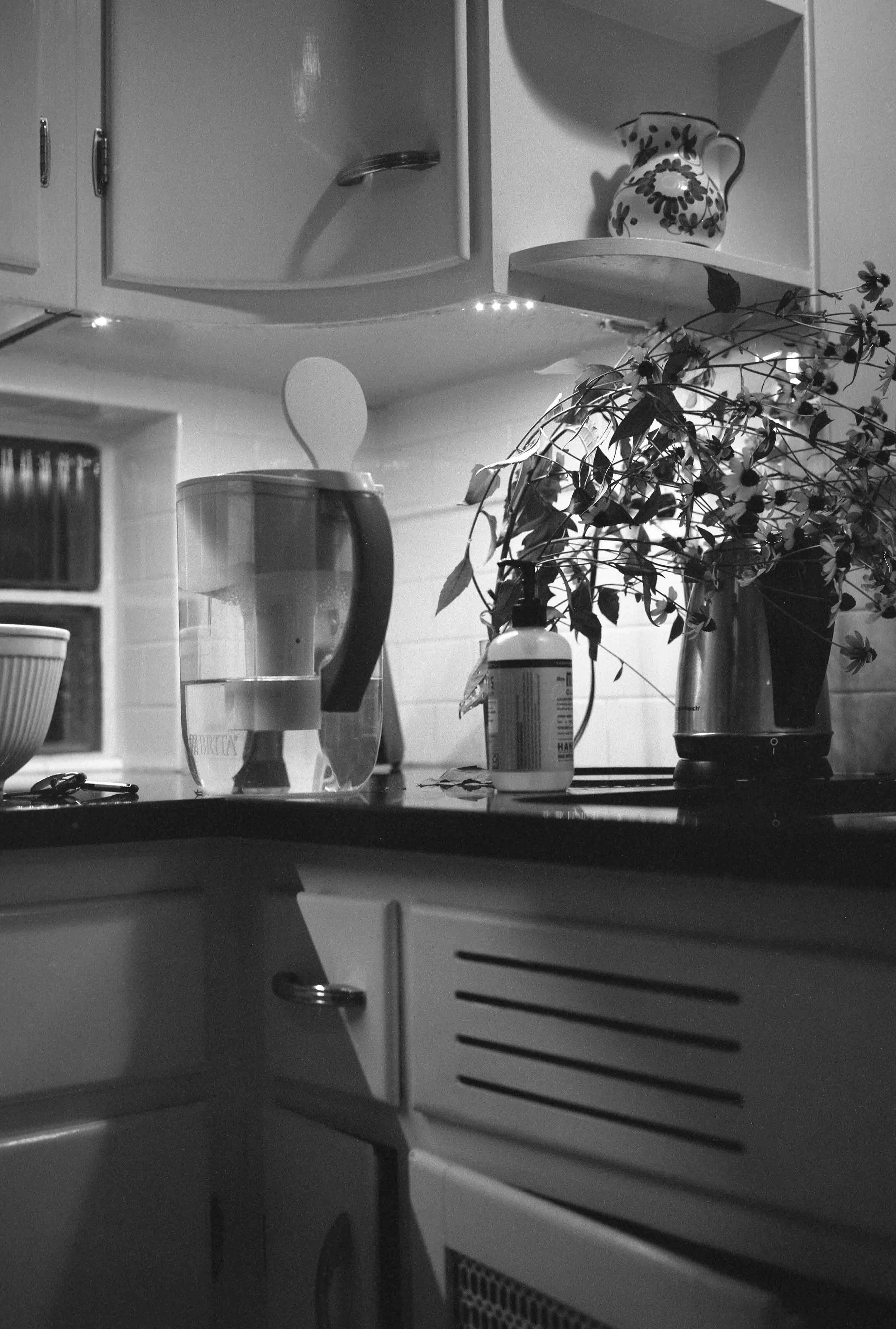 wallace_still_lifes-5.jpg
