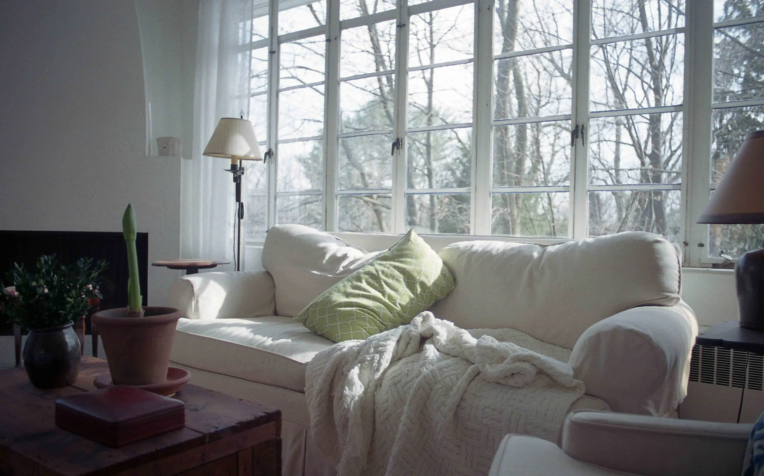 wallace_homesick-13.jpg