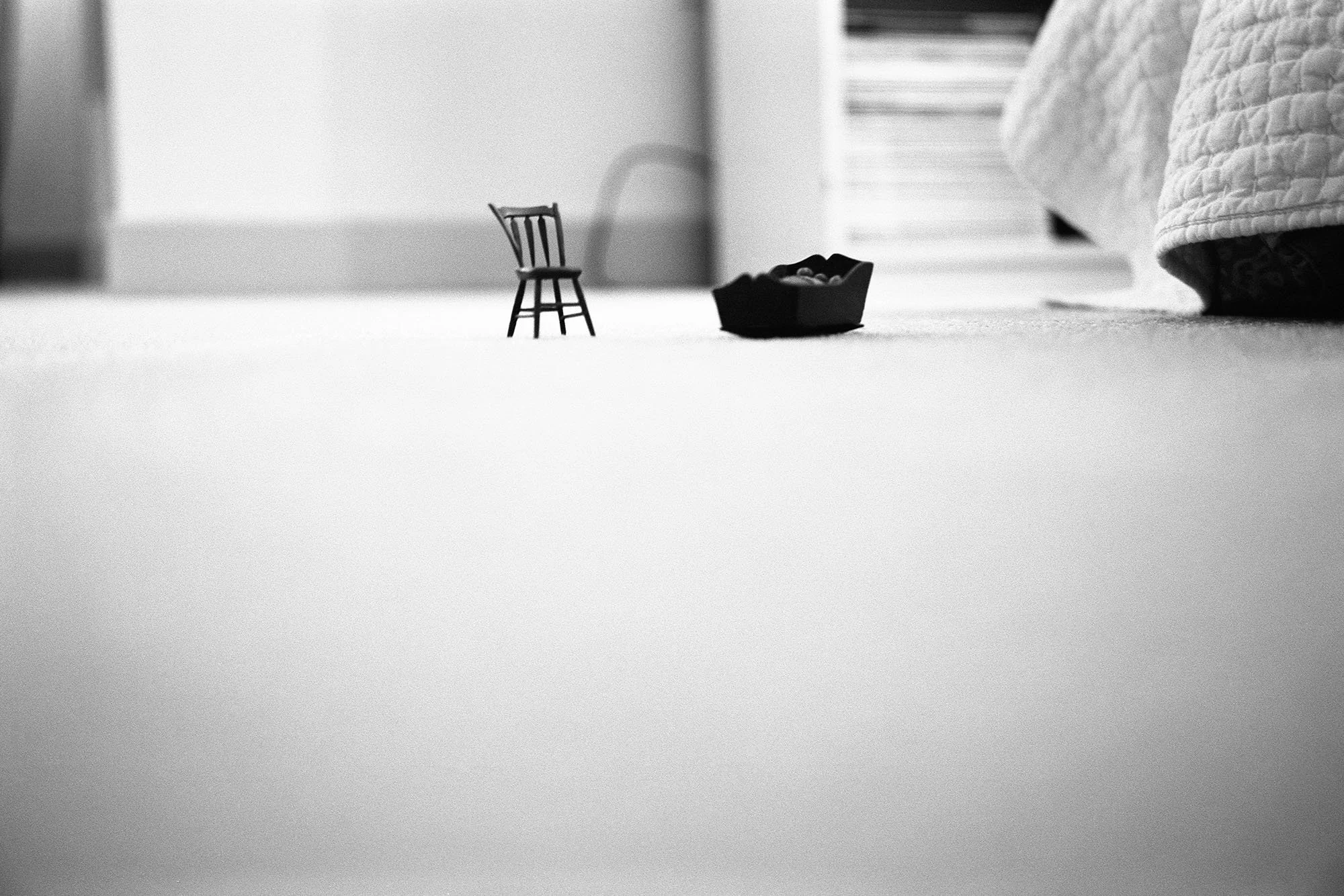 wallace_still_lifes-6.jpg