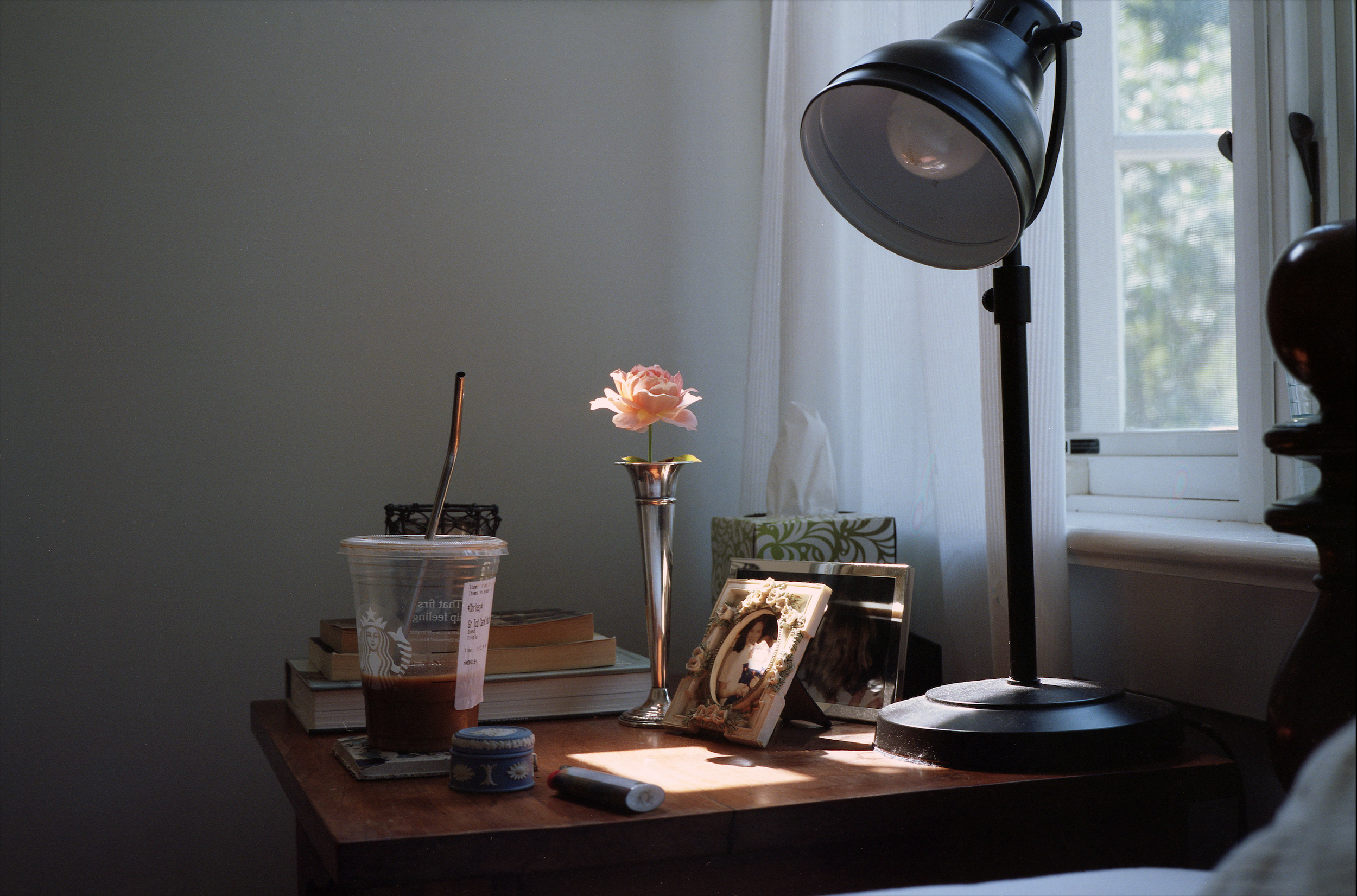 Still Lifes