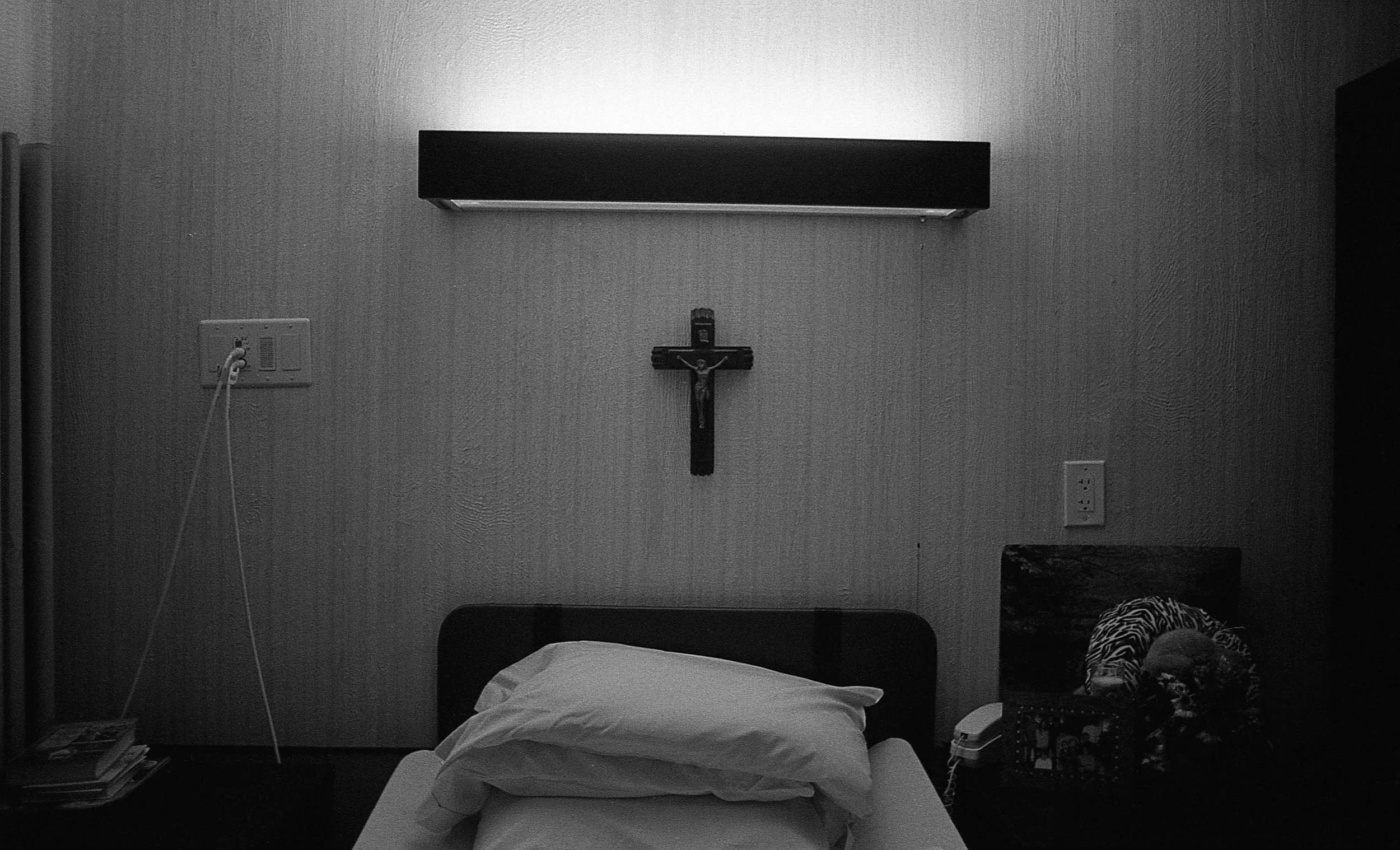 wallace_still_lifes-3.jpg