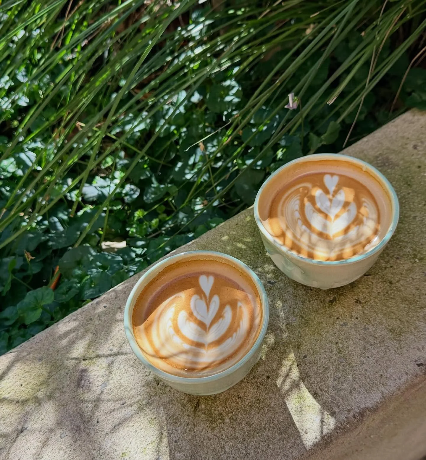 Latte cups in the wild ☕️🍃

#porcelaincups #latte #ceramics #pottery
