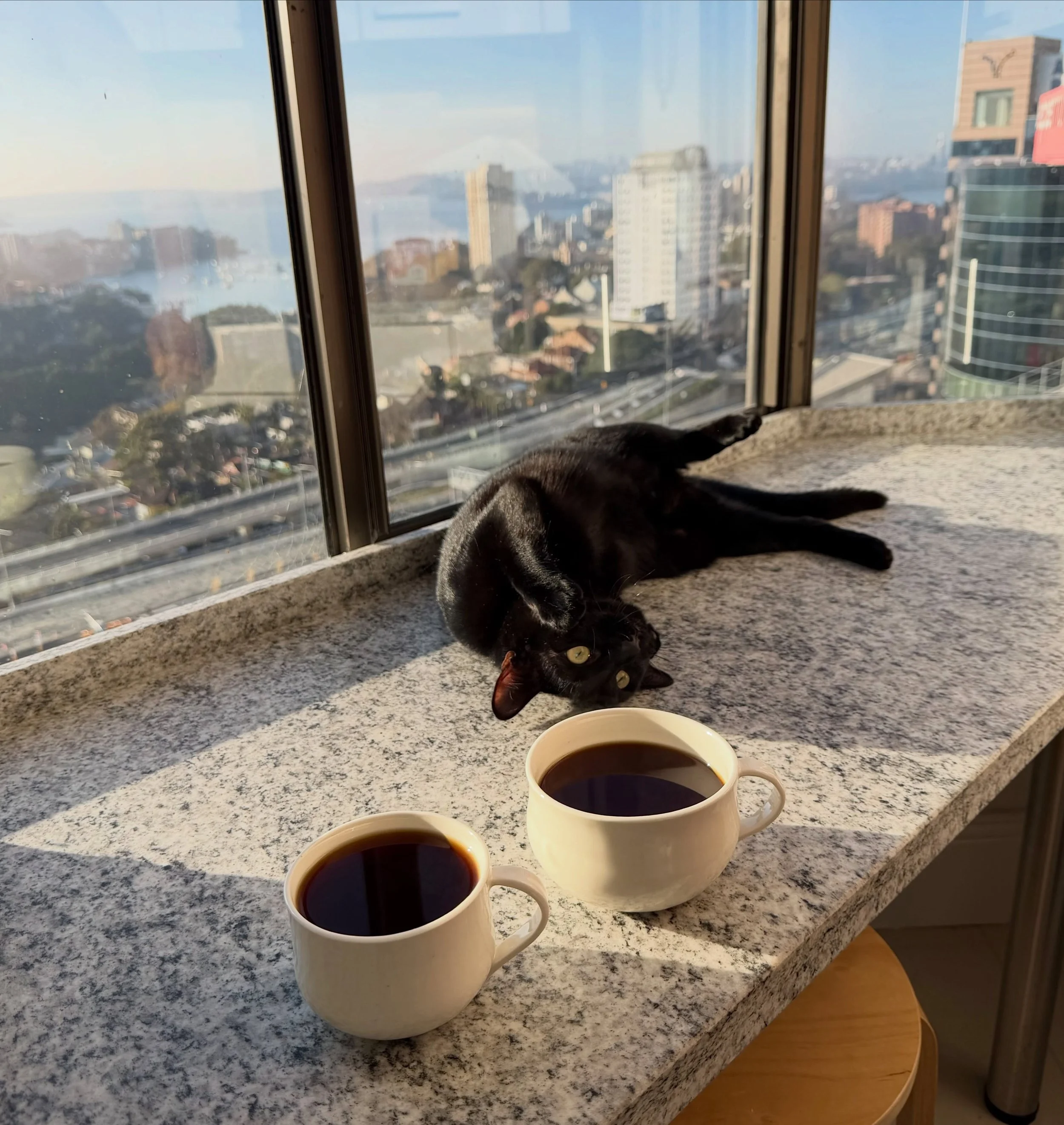 Coffee date with Jiji ☕️

#cat #ceramics #pottery #coffee #fyp