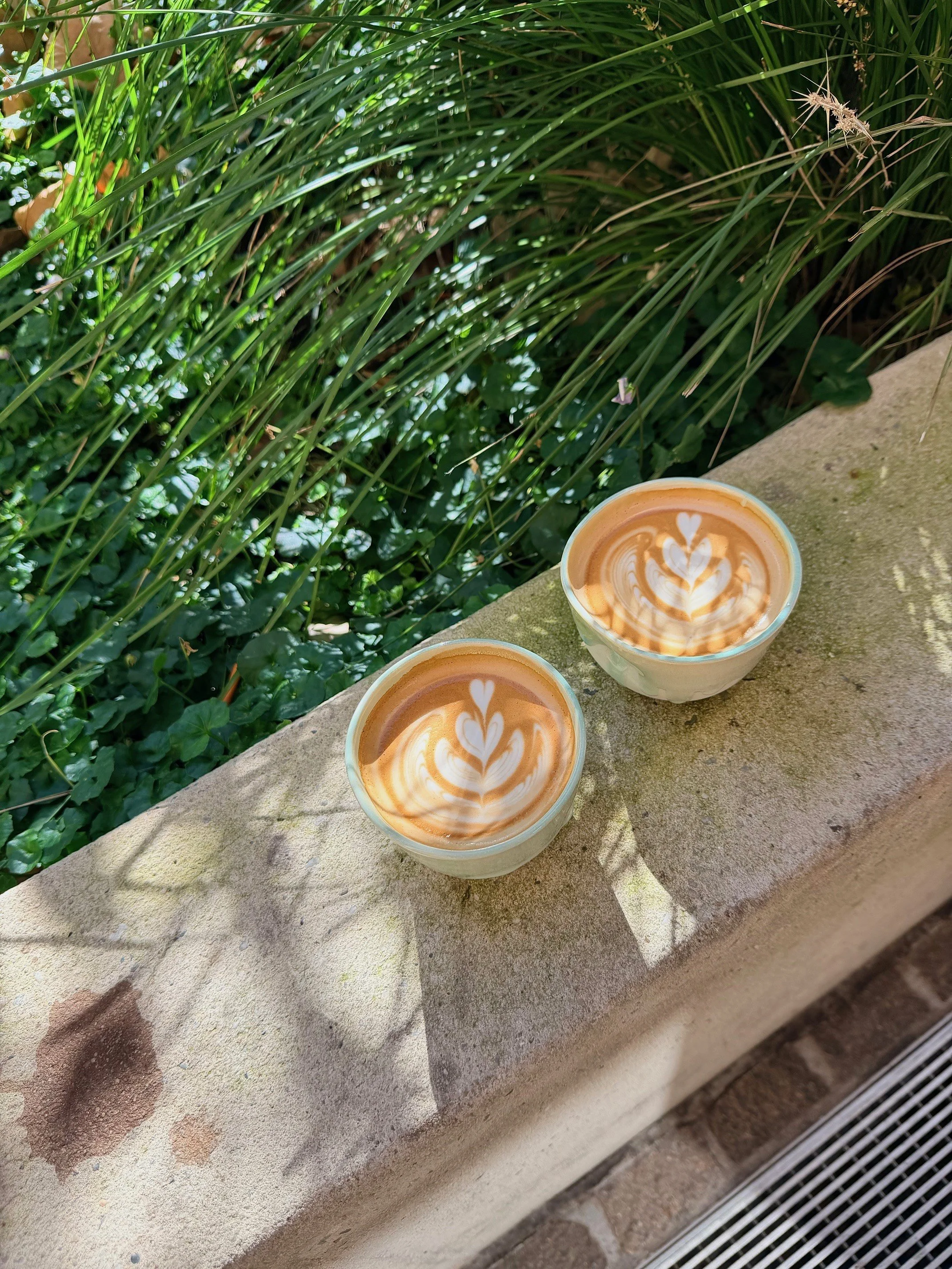 Two cups of coffee with latte art on a concrete ledge outside, with green plants in the background.