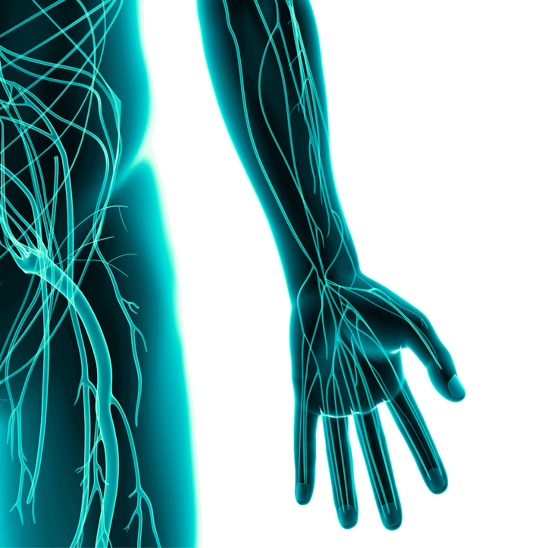 Peripheral neuropathies of the upper extremities in sport: A soft tissue perspective
