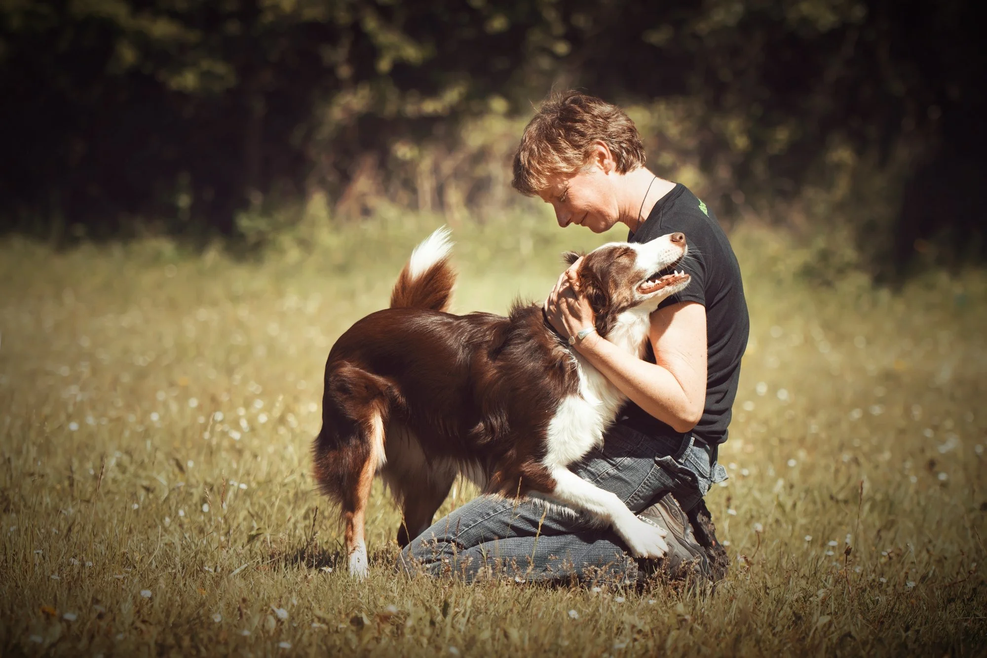 instructeur nosework marjorie miltenberger