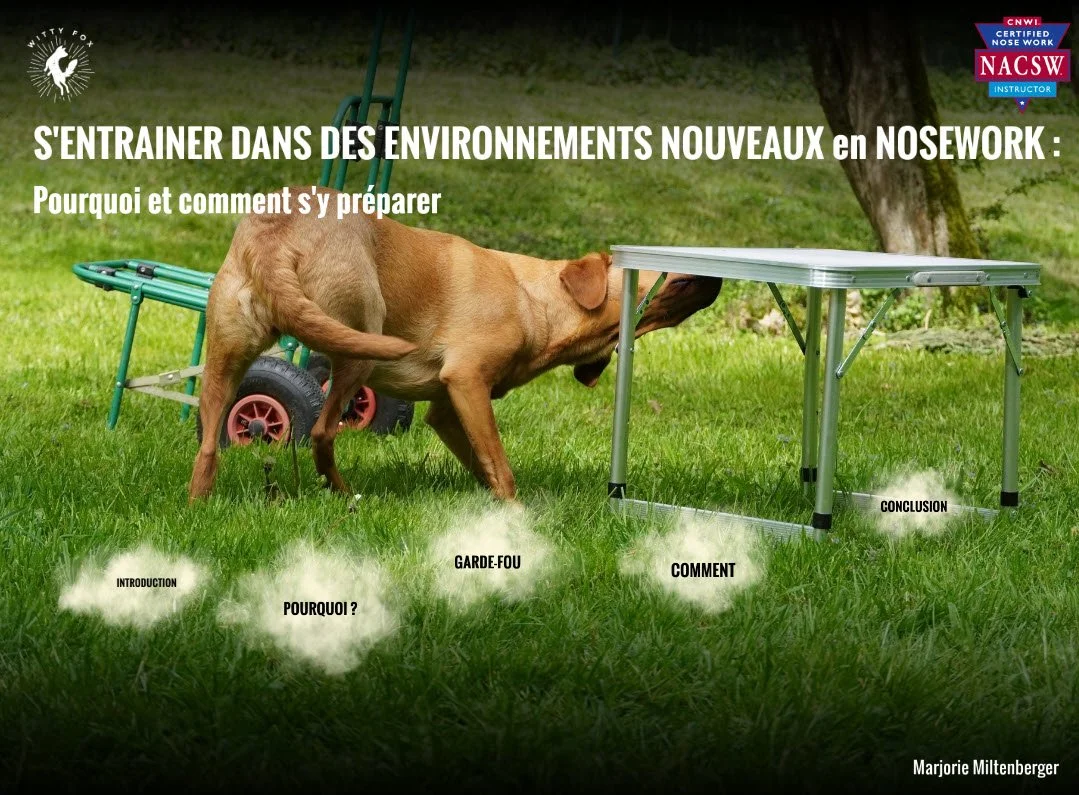 Le texte indique le thème de l'entraînement en environnement naturel en NOSEWORK.