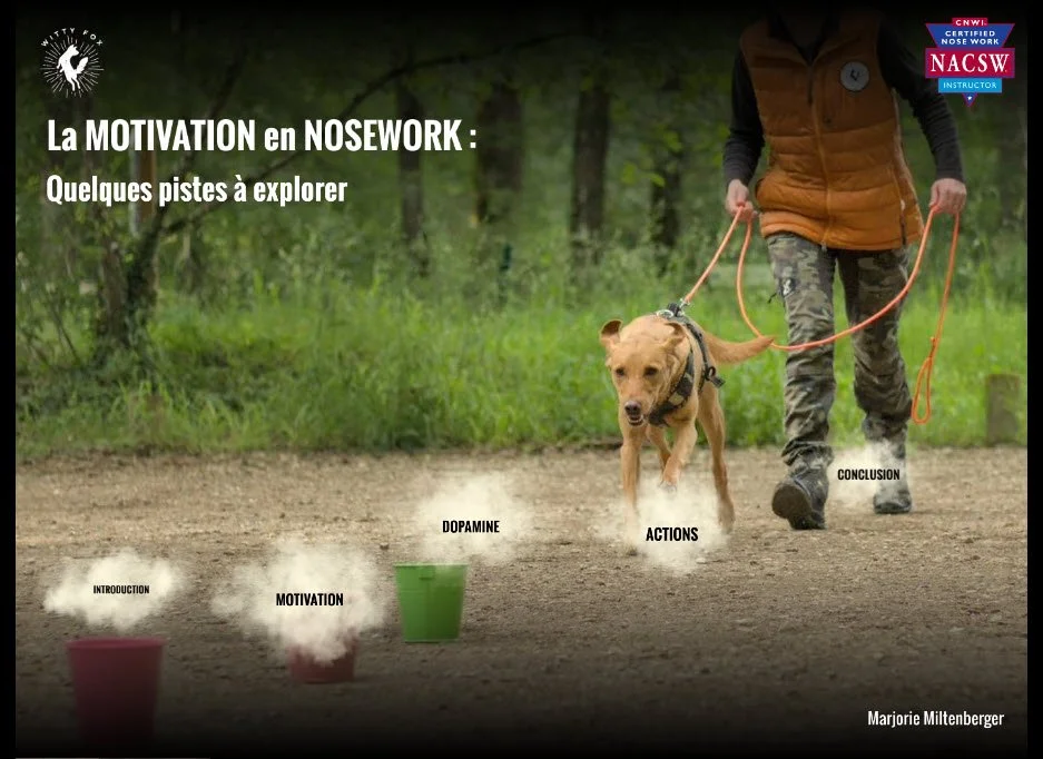 page de présentation sur la motivation en Nosework, avec des éléments de texte indiquant l'introduction, la motivation, la dopamine, les actions et la conclusion.