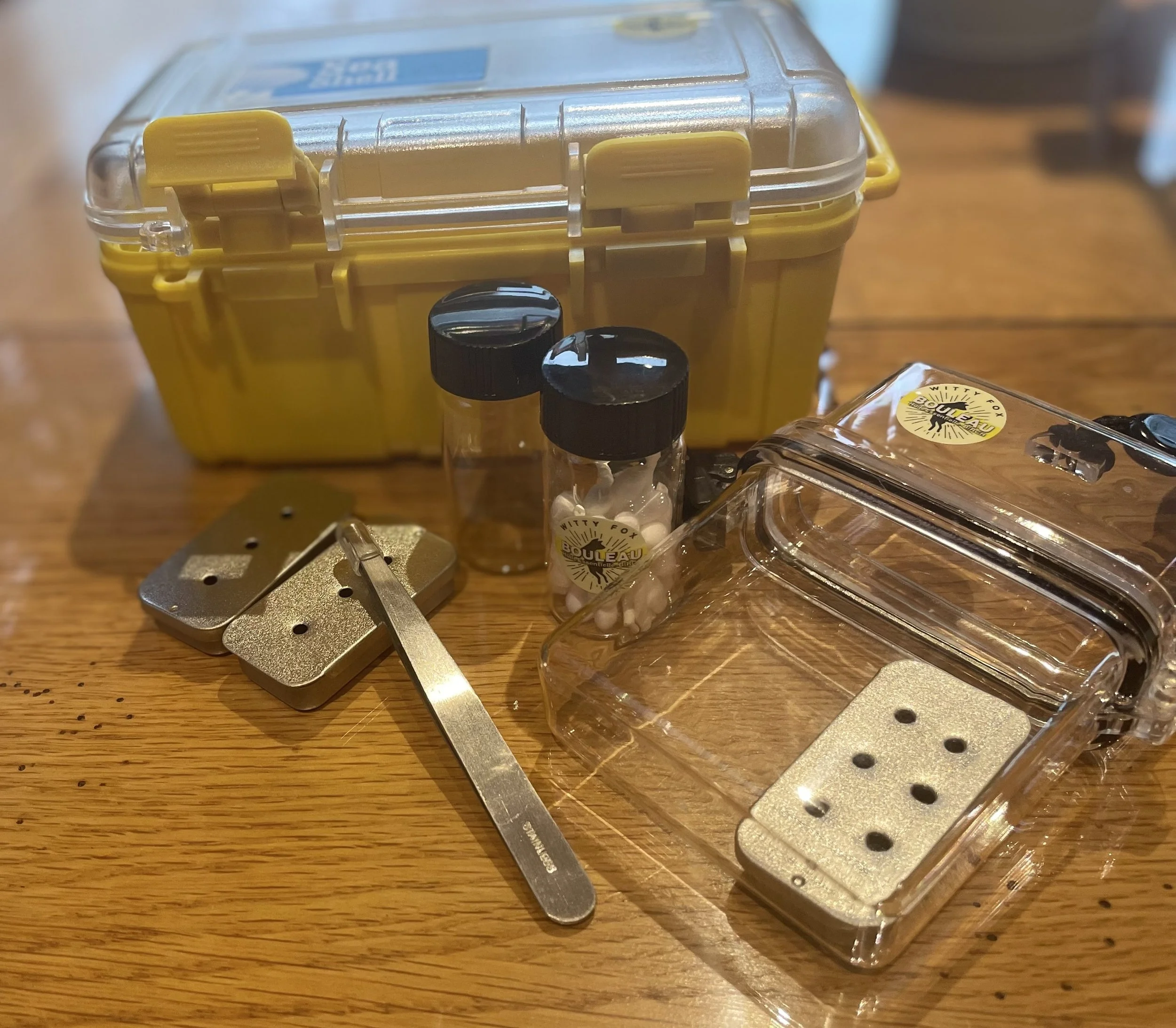 matériel nosework : Une boîte de stockage transparente avec des détails jaunes et une poignée noire, plusieurs petits flacons en verre avec des étiquettes Witty Fox Bouleau, et plusieurs vaisseaux