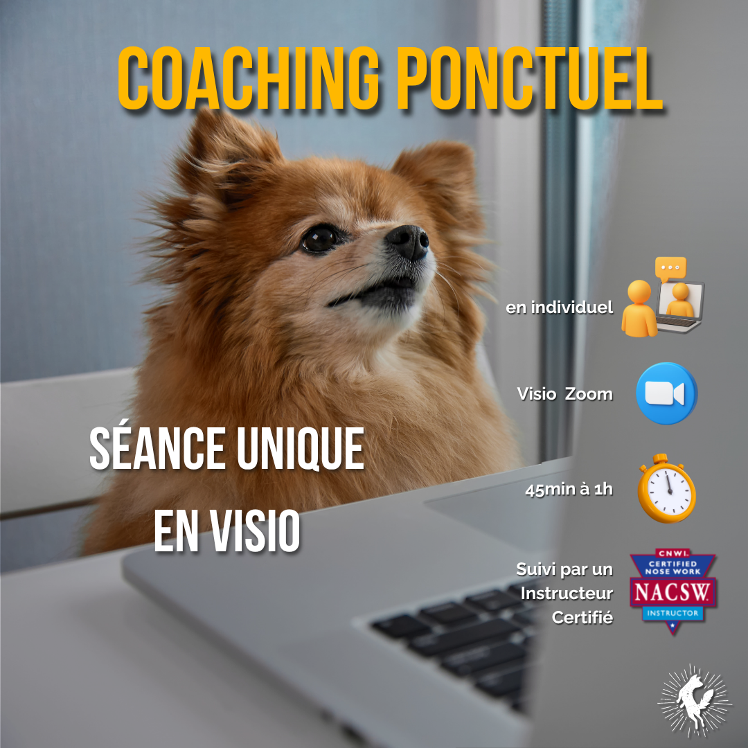 Rdv visio  (45min à 1h) - suivi ponctuel Pratiquant