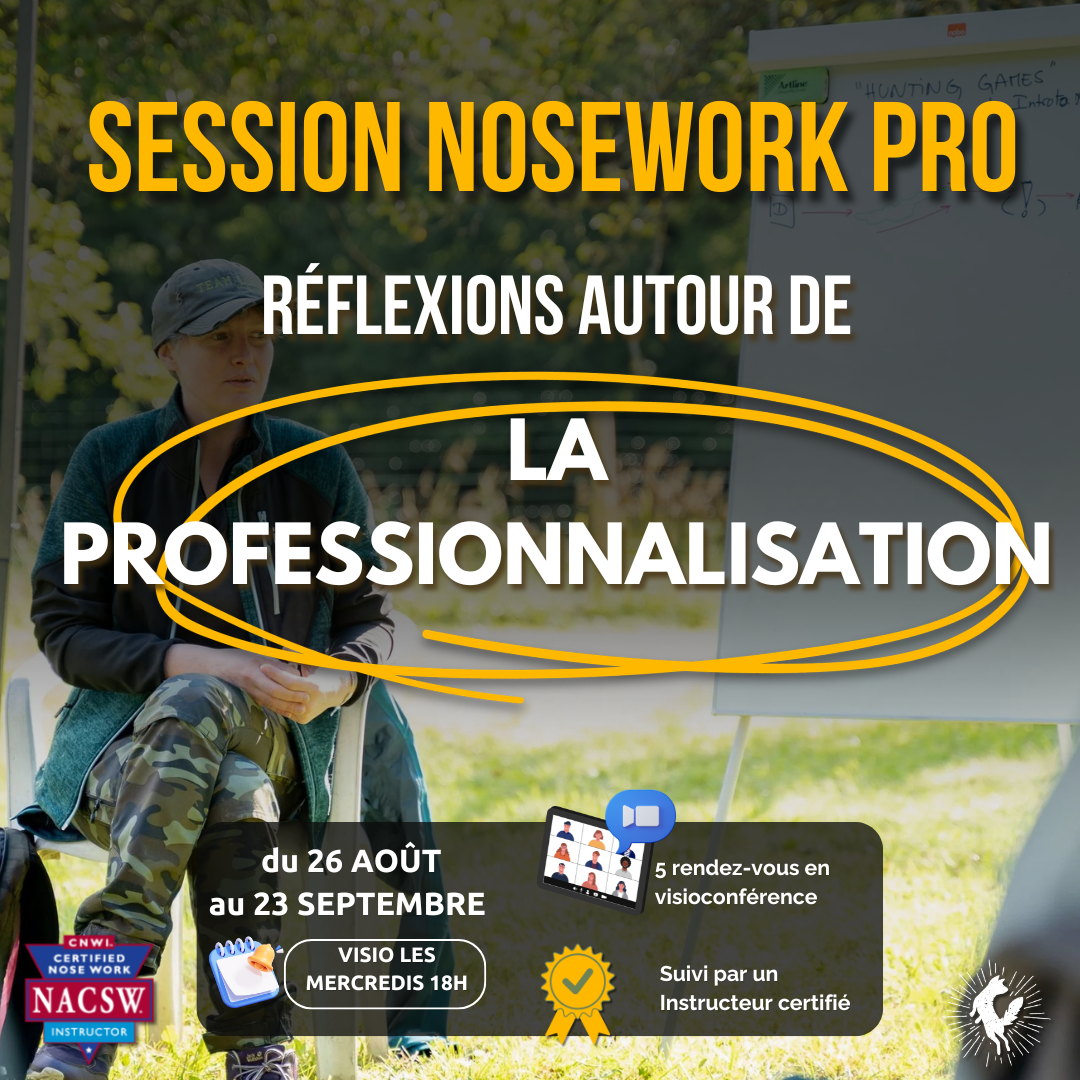 Session spéciale Nosework Pro : Réflexions autour de la professionnalisation