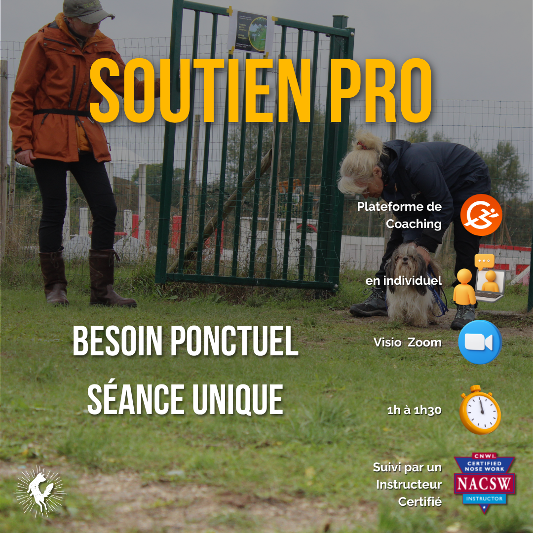 Soutien Pro - Rdv ponctuel (1h à 1h30 en visio)