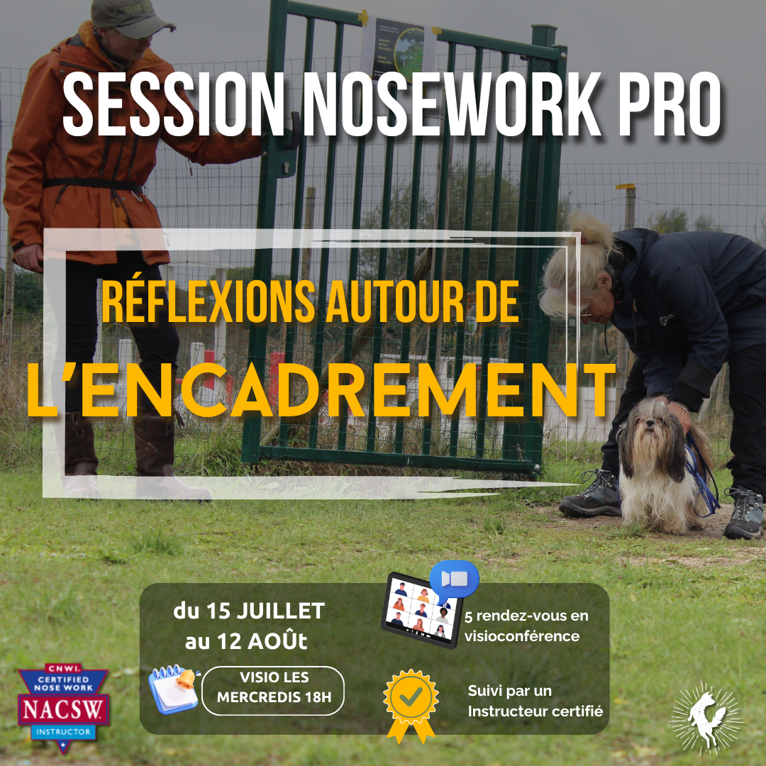 Session spéciale Nosework Pro : Réflexions autour de l'encadrement