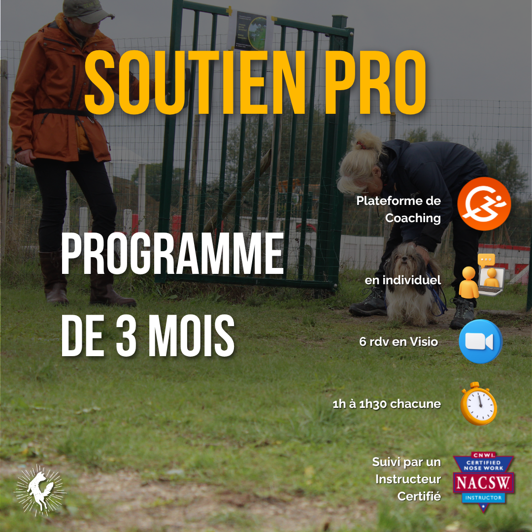Soutien Pro : le soutien d'encadrement pour les professionnels (session automne 2026)