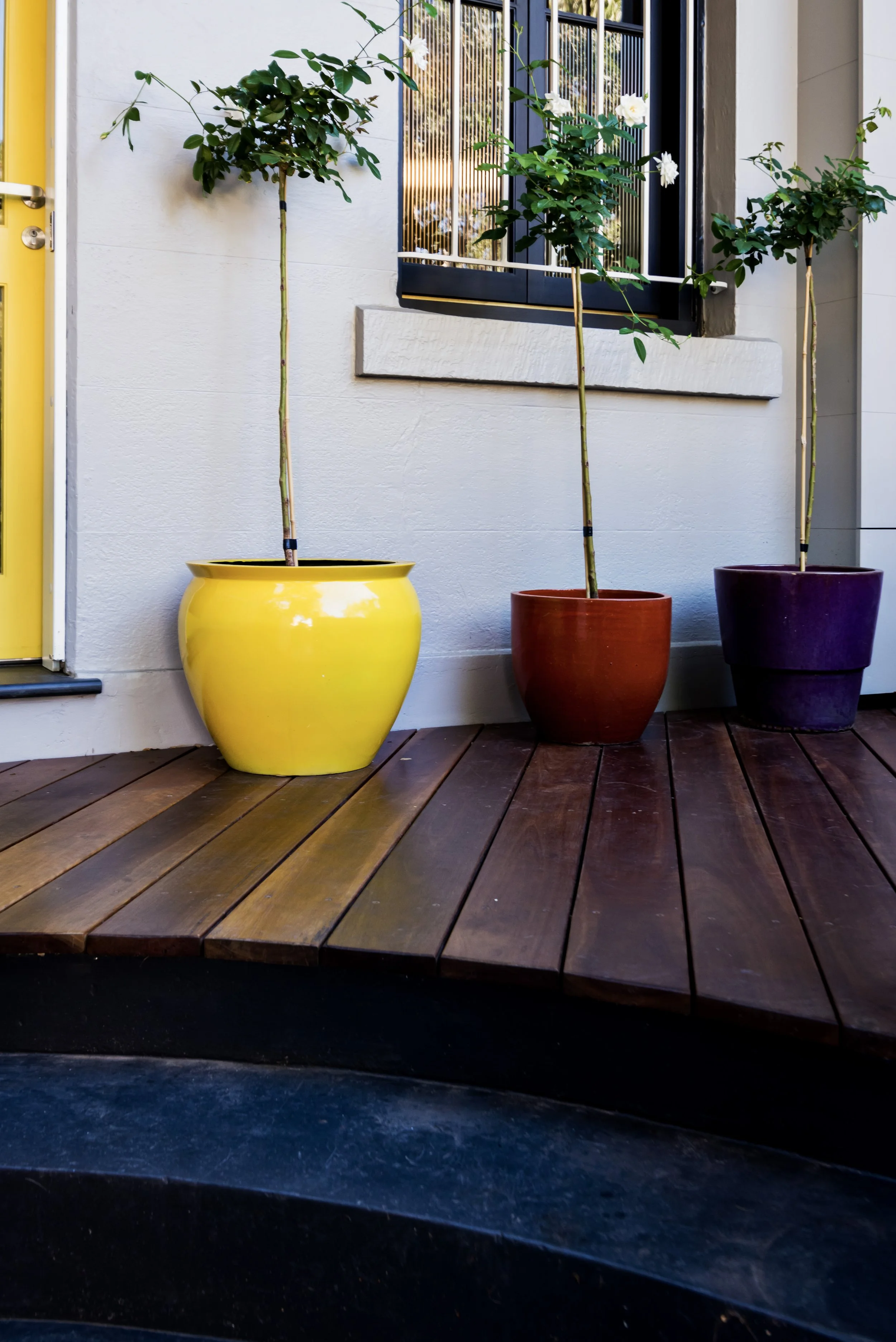 GardenSt_492_.jpg