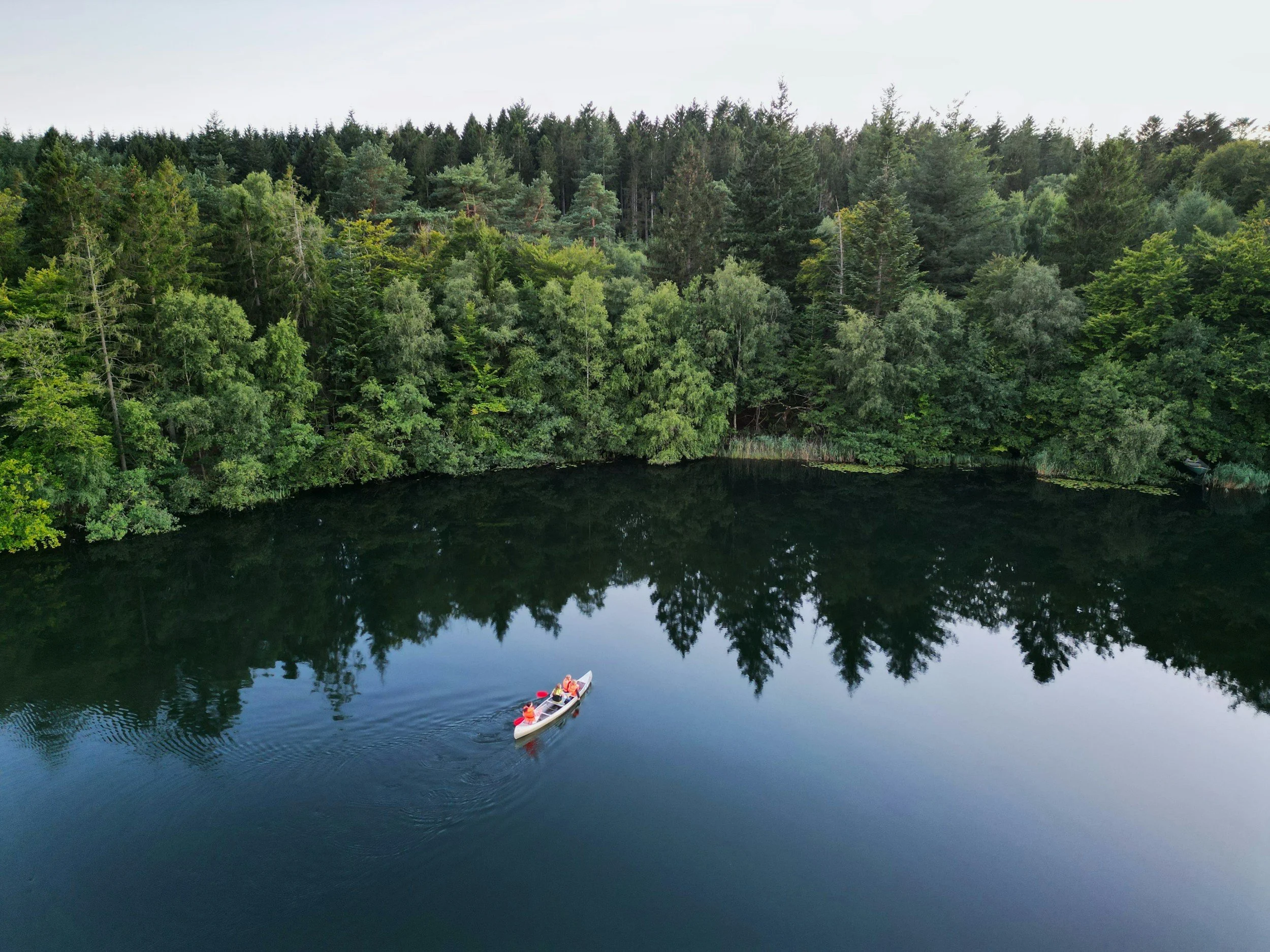 A boat with three people on a calm river surrounded by dense green trees and forest.
