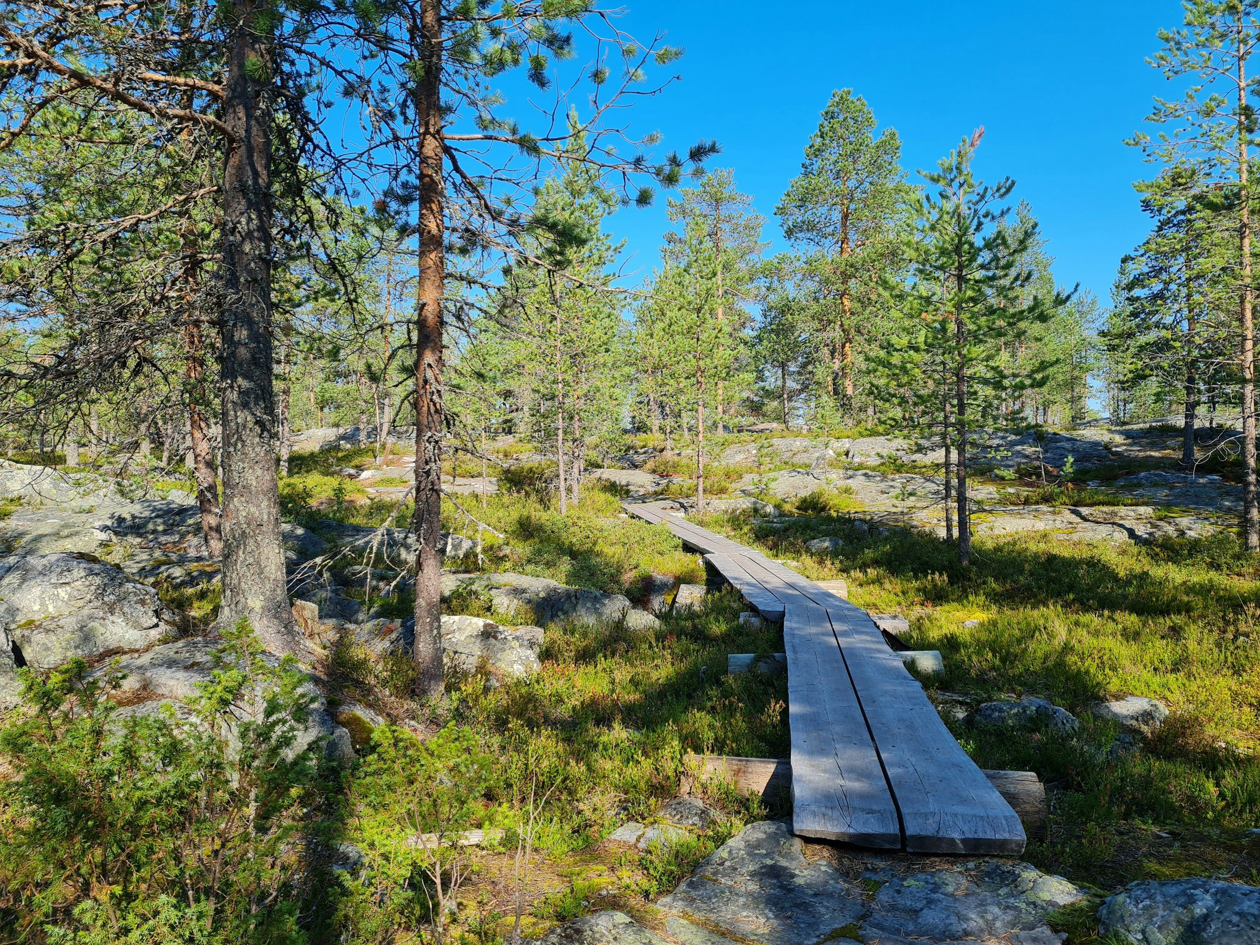 Guided hikes and nature safaris in Oulu