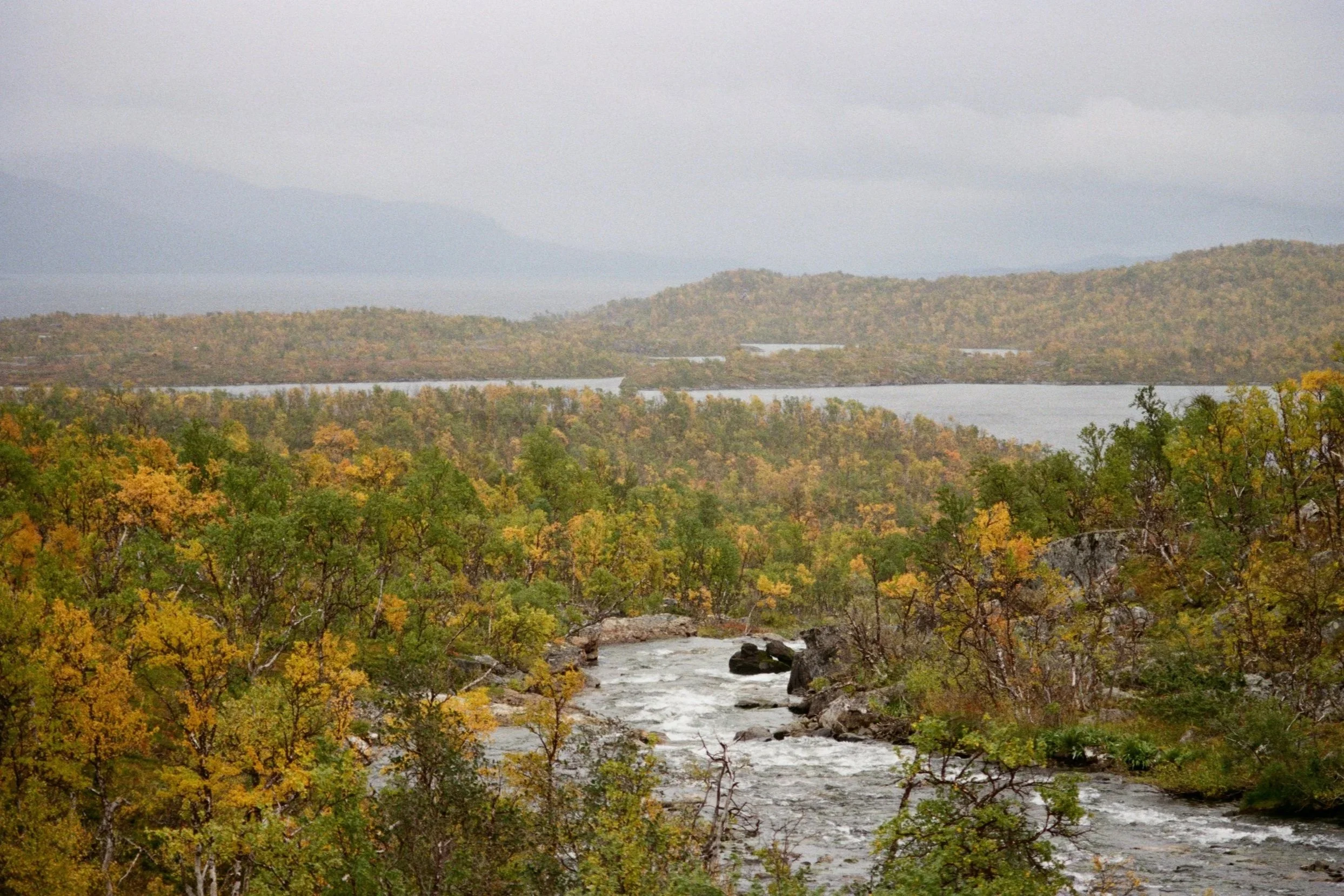 LAPLANDwilderness.jpg