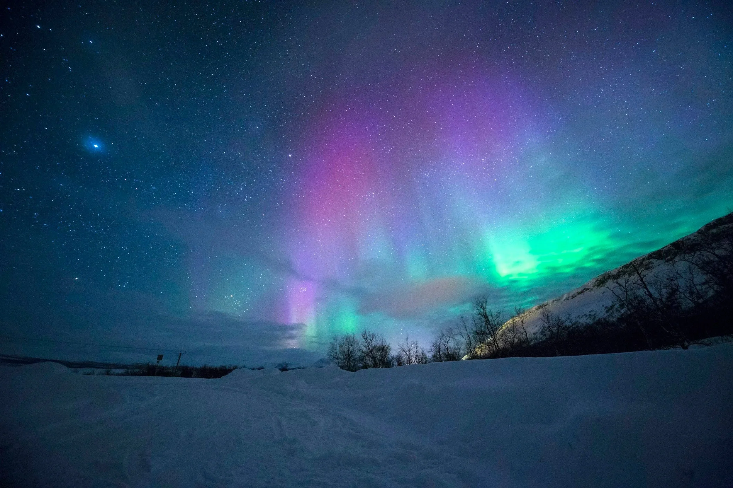 Night sky with stars and vibrant northern lights over snow-covered landscape and bare trees.